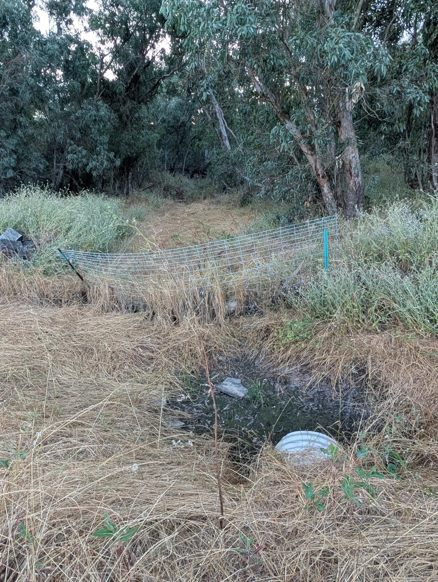 Audio Briefing: The Zero to Five Foot Safety Zone