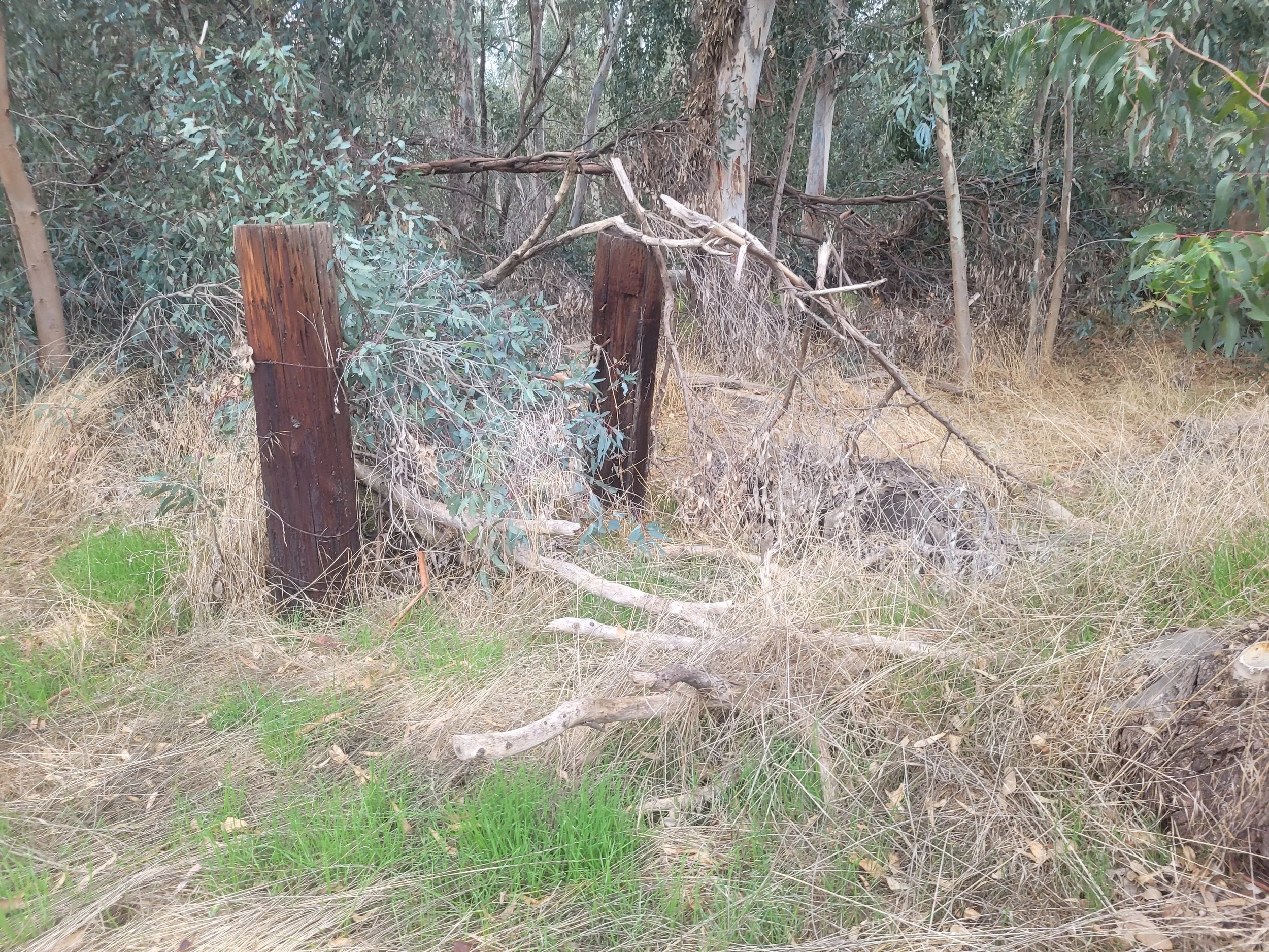 Fuel Load Management,Eucalyptus Risk,Fire Resiliency,Herald Community,Strike Teams,