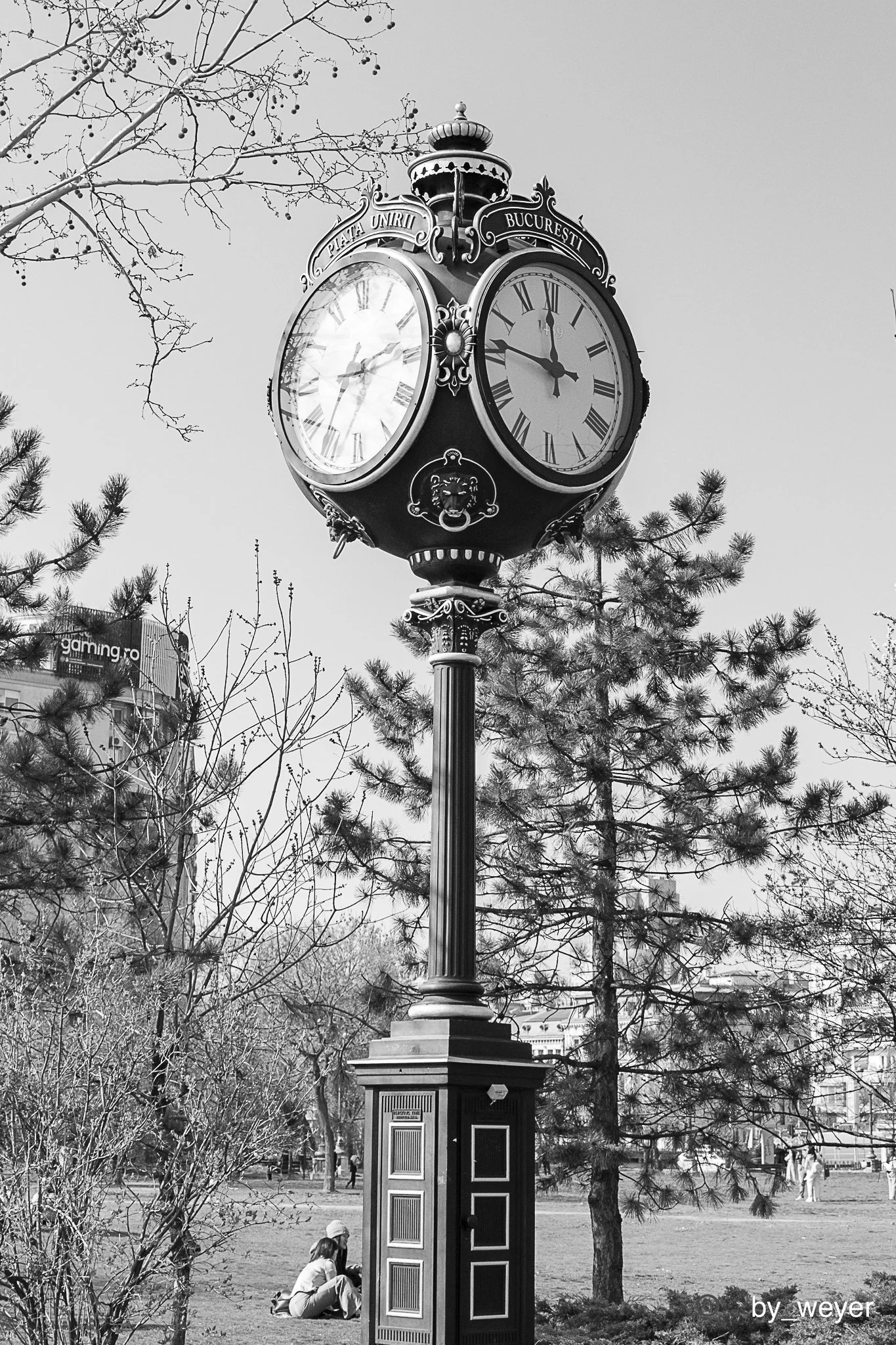 _DSF0062.jpg