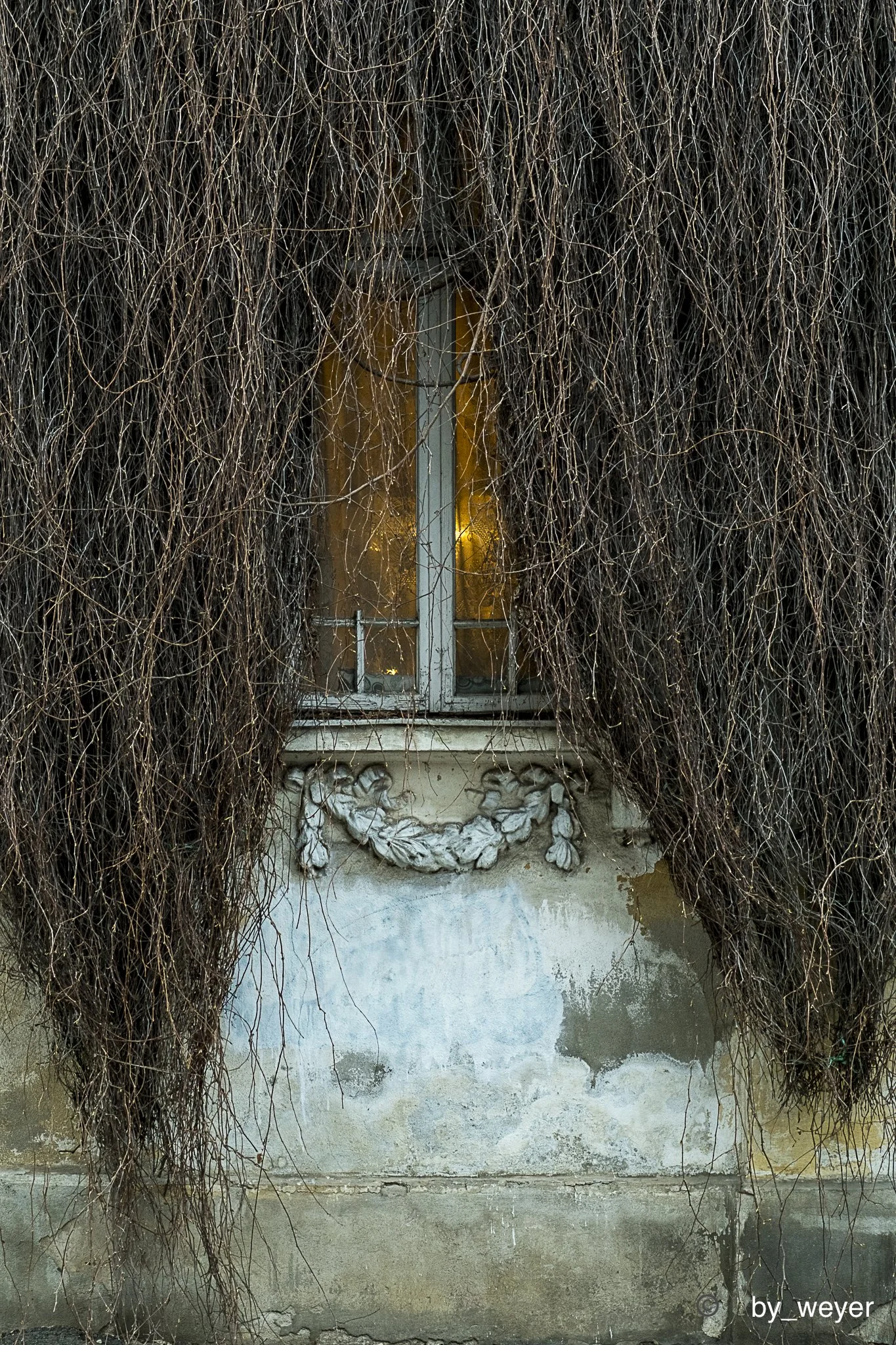 DSCF0486.jpg