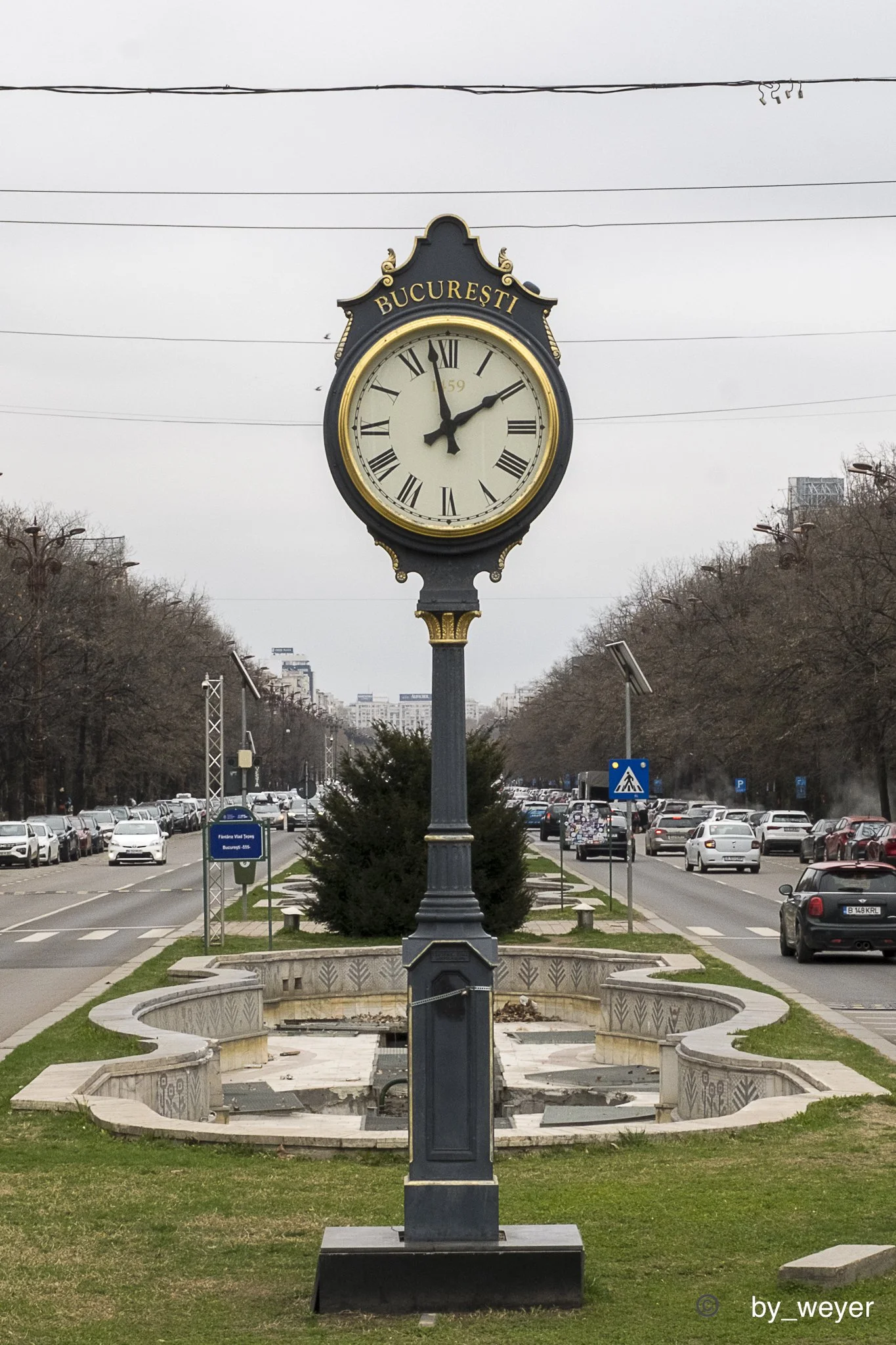 _DSF0175.jpg
