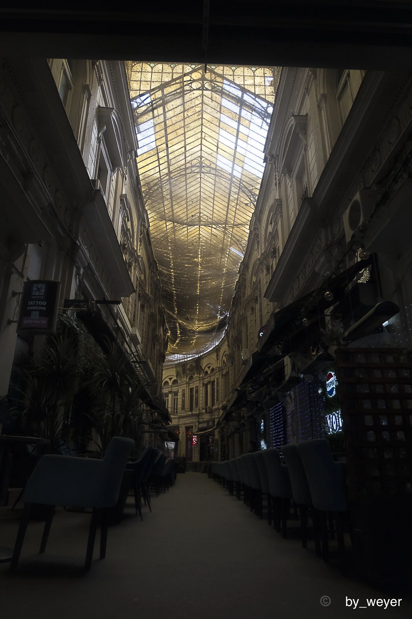 _DSF0209.jpg