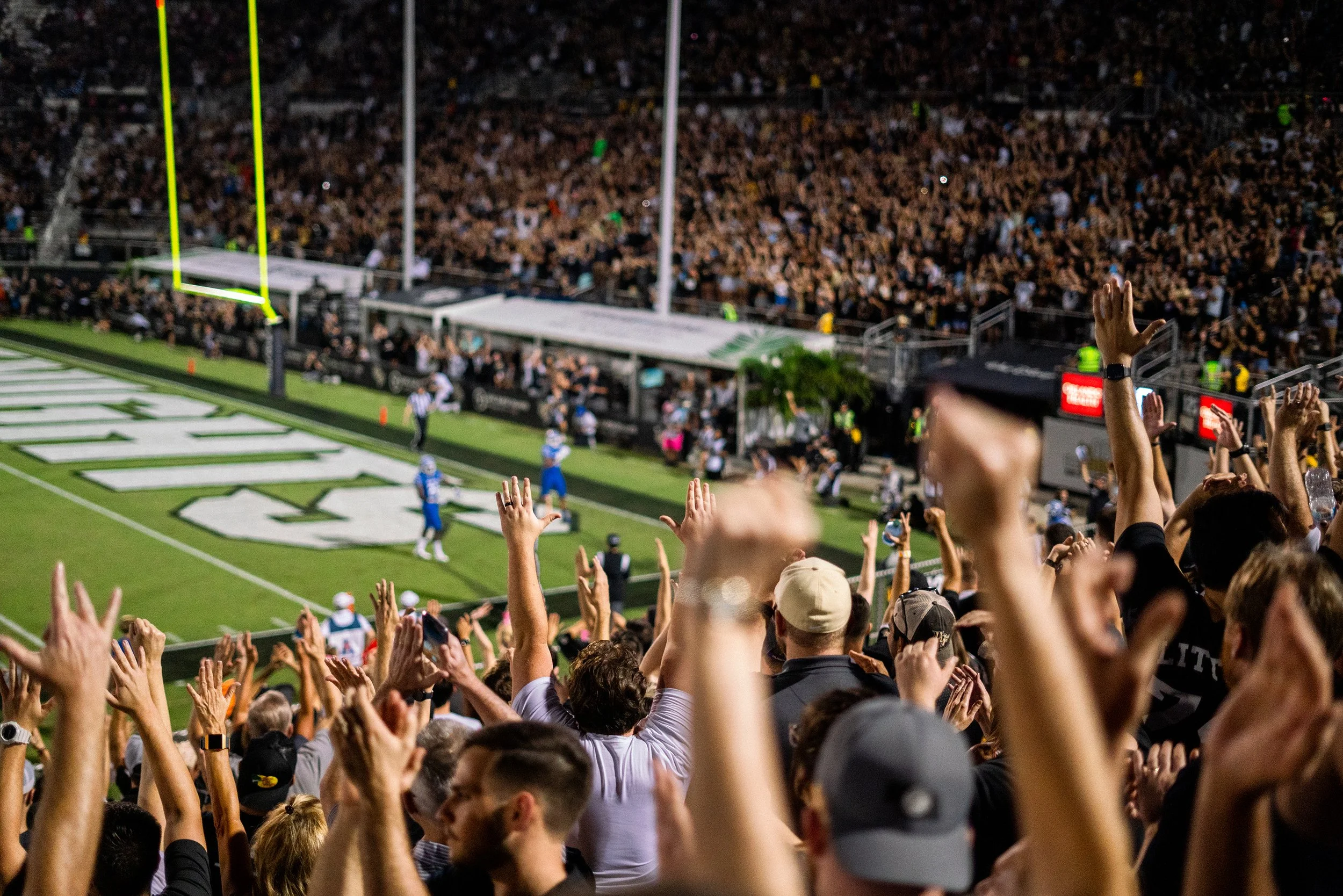 Crowd of football fans cheering in stadium during game, with players on field and goalposts in background.