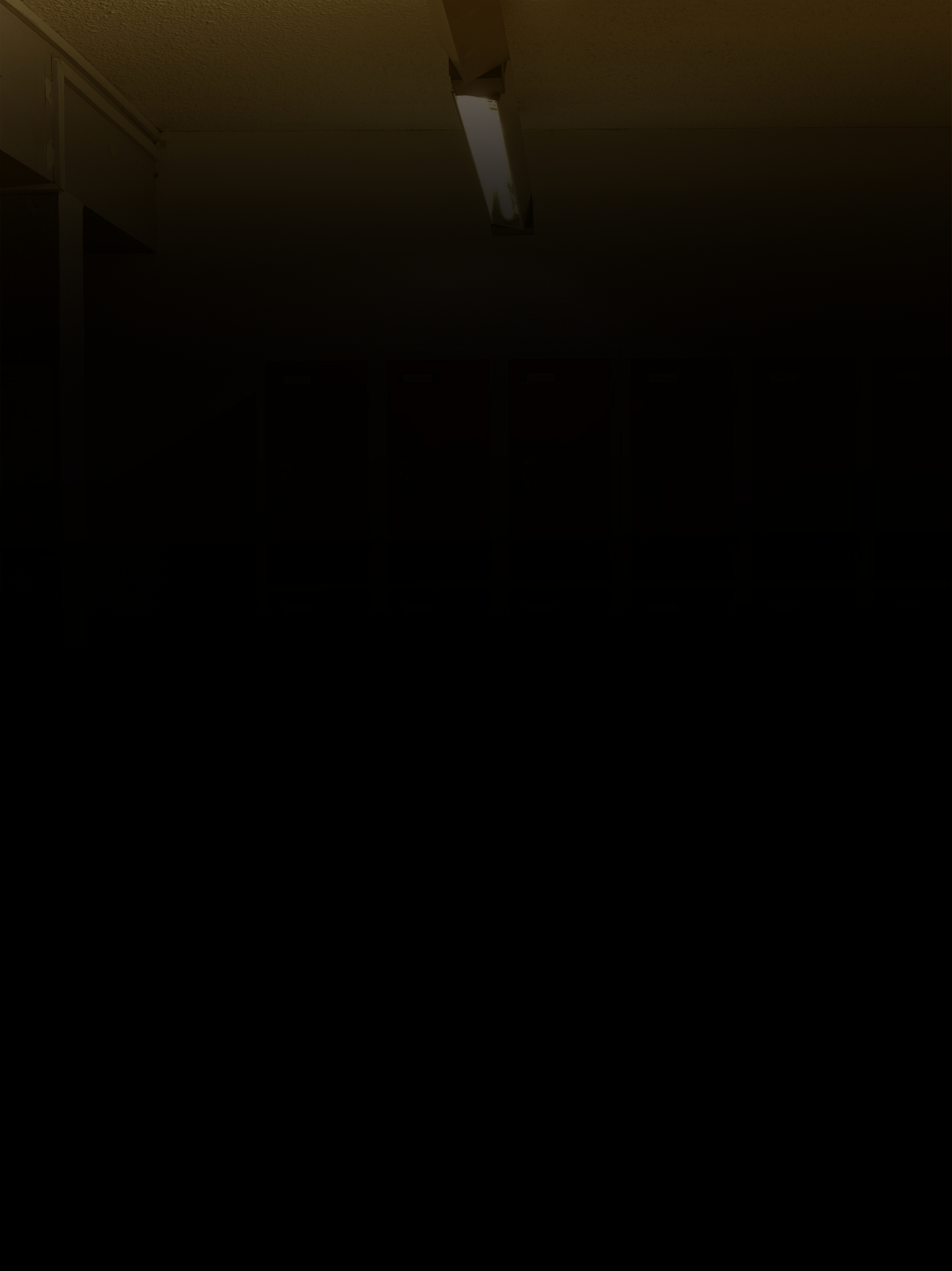 milieu opaque vertical4.png