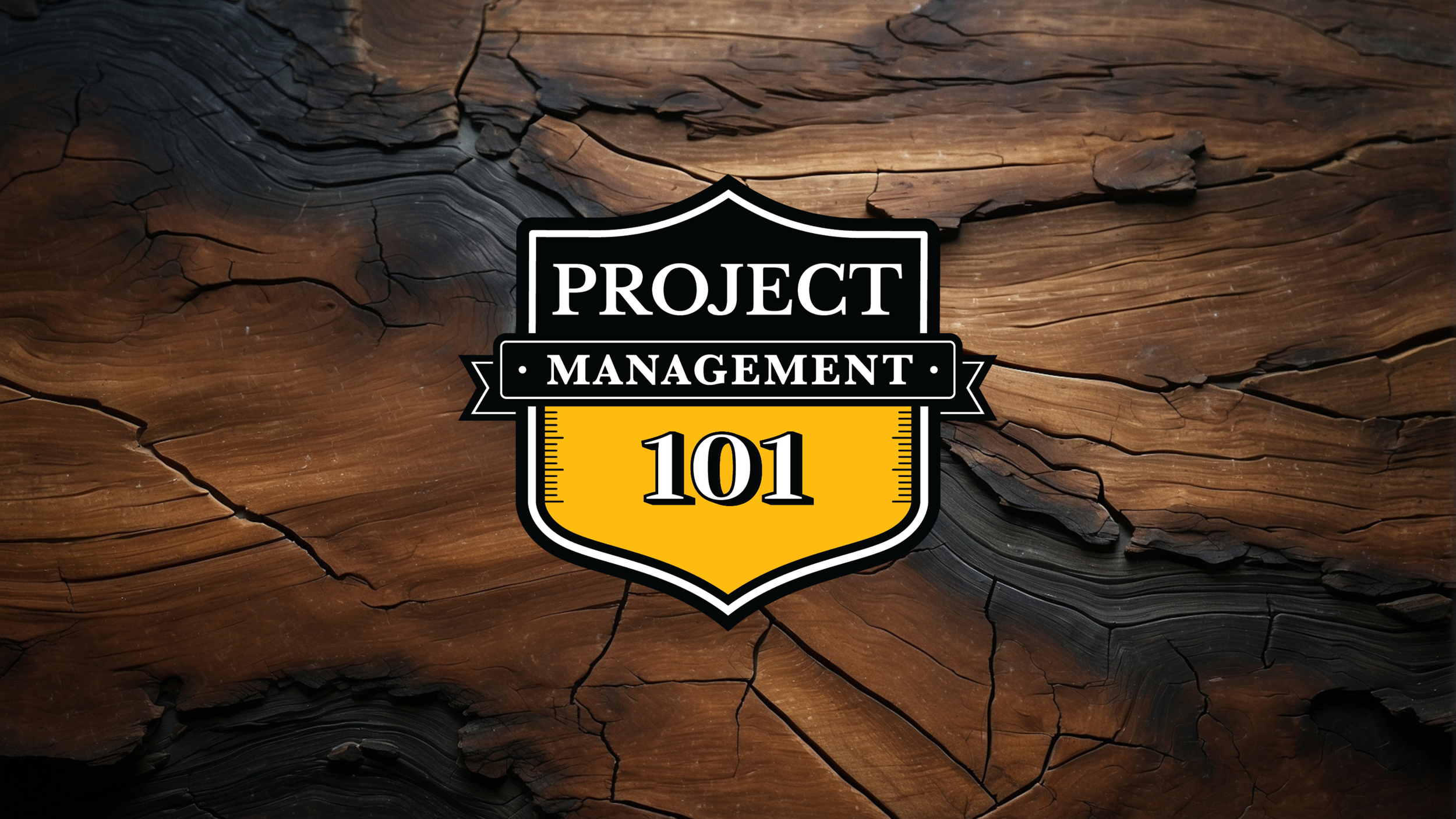 Project Management 101 logo