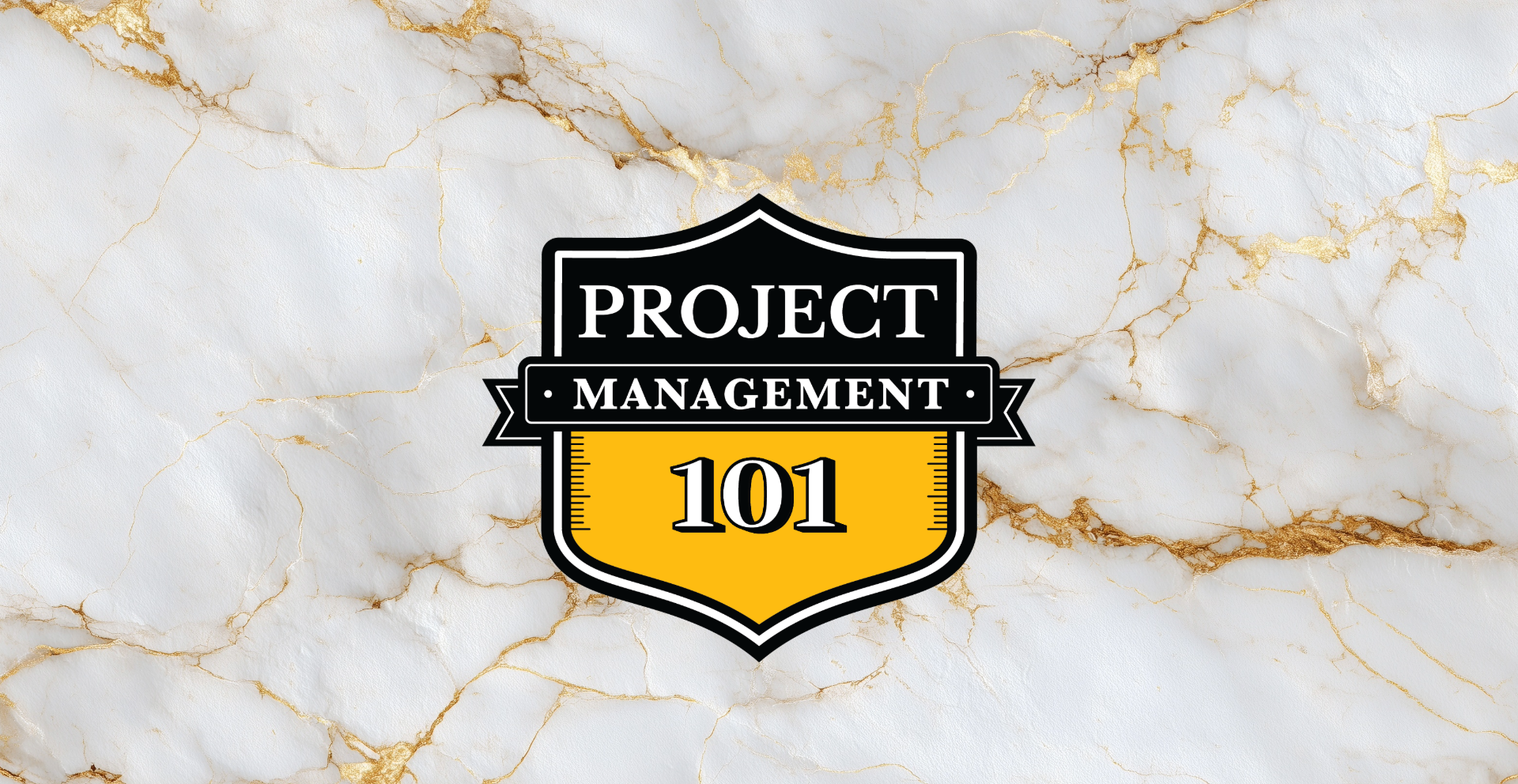 Project Management 101 – Professional Coaching, Team Training & Student ...