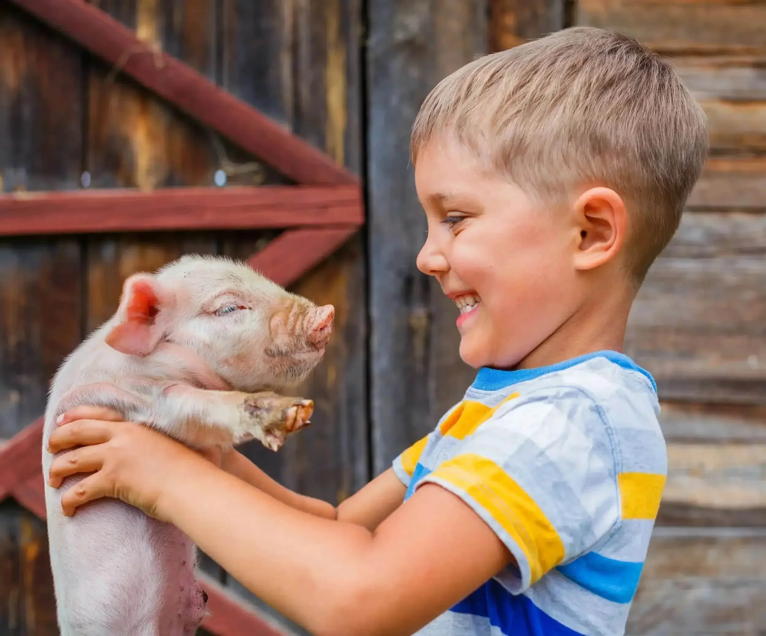 Smiling boy holding a piglet in front of a rustic wooden building.