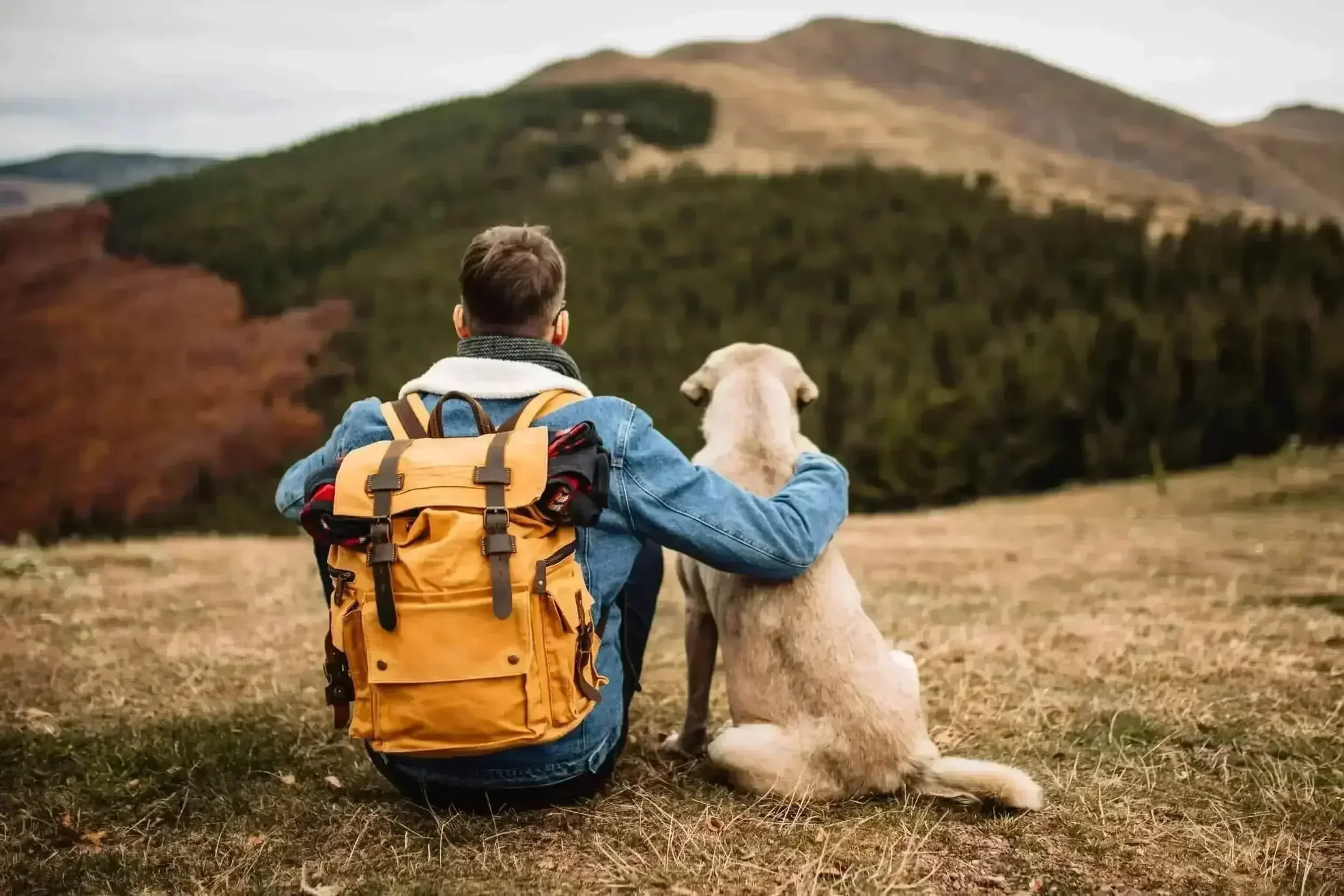 Man with dog reflecting