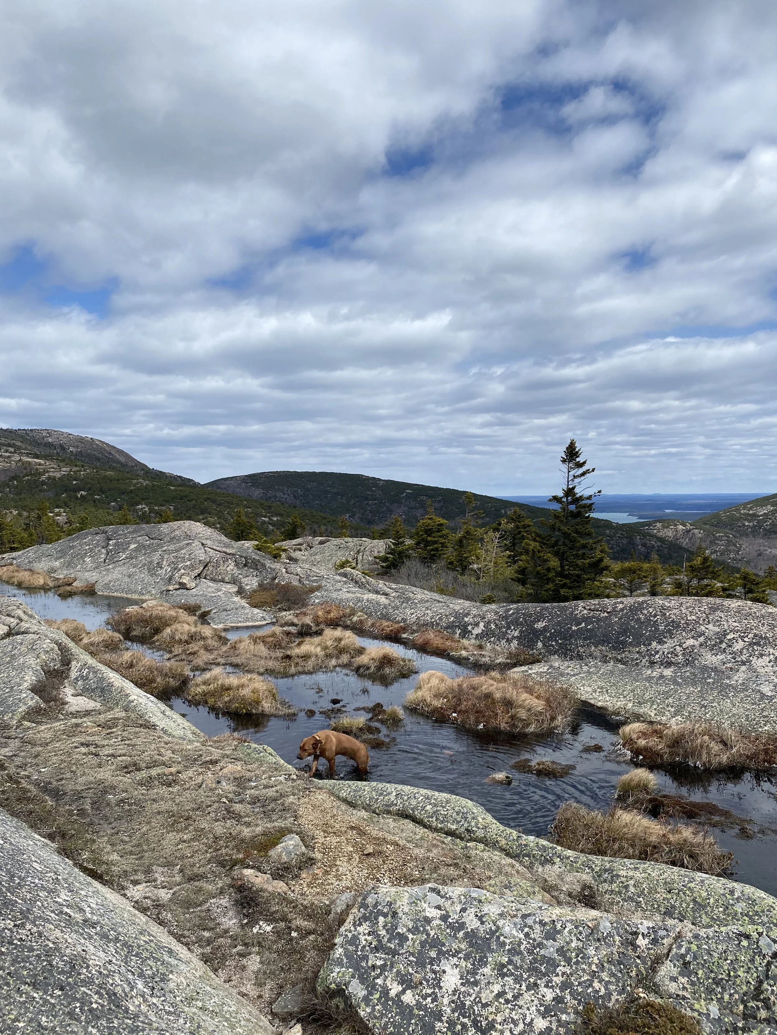 Acadia National Park and other hikes and trails