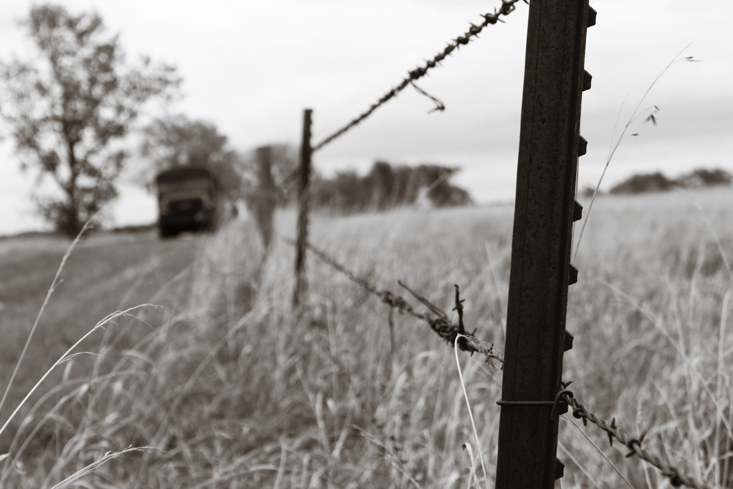 IMG_8762bw.jpg
