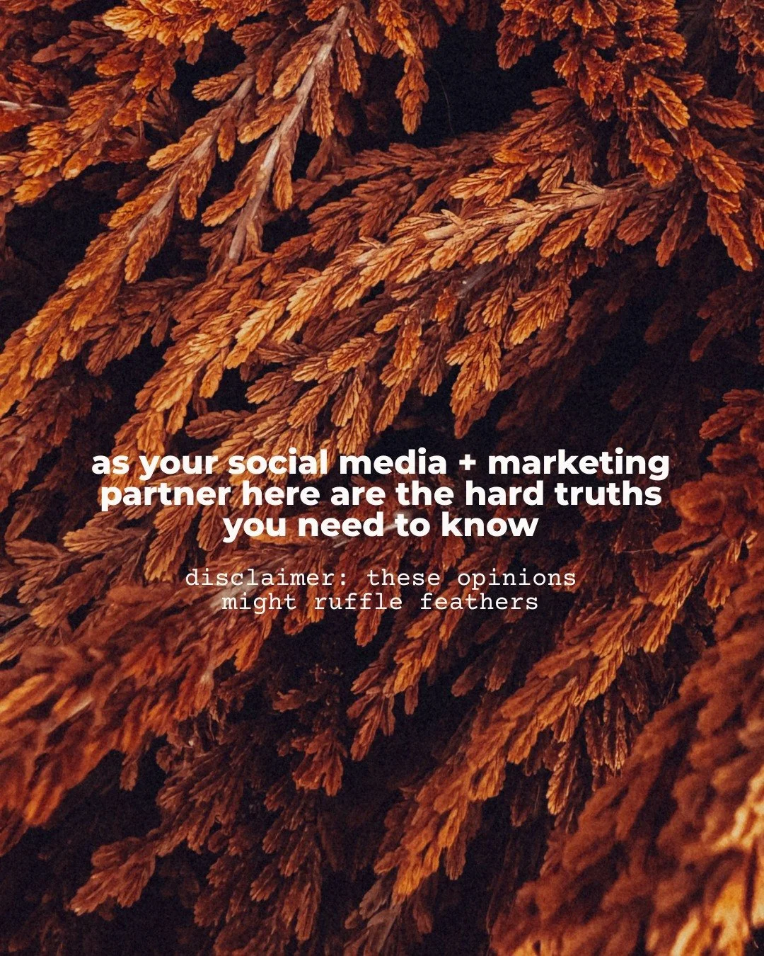 I could probably sell social media management a lot easier if I told people what they wanted to hear.
- "10K followers is right around the corner."
- "Every post should bring in a lead."
- "If you hire me for three months, yo