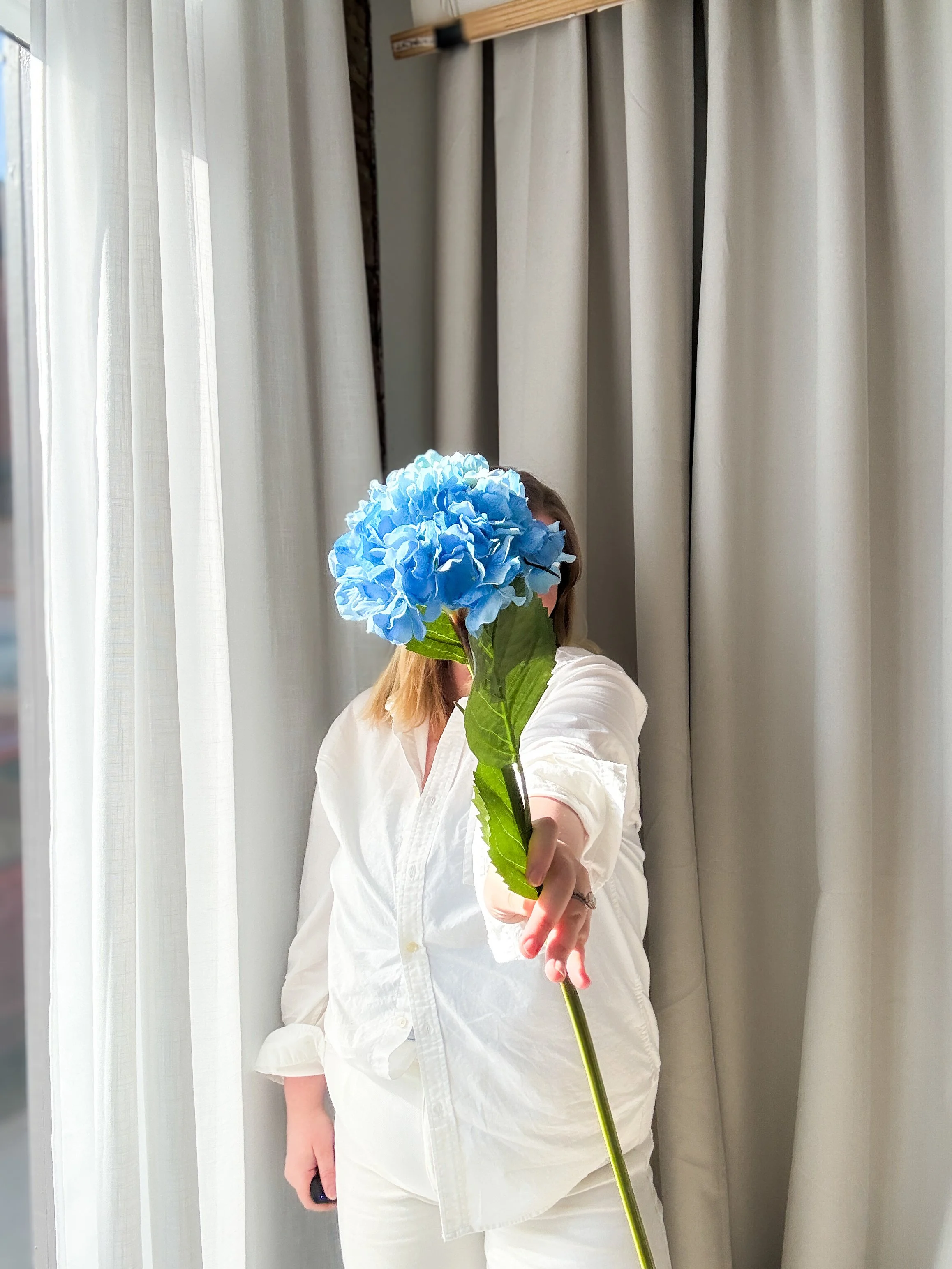 A person in a white shirt holding a large blue hydrangea flower in front of their face, standing near white curtains.
