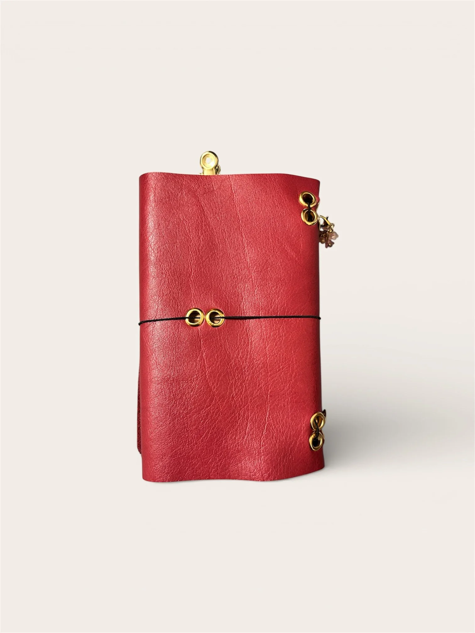 hand made louise carmen inspired journal - red 3.JPG