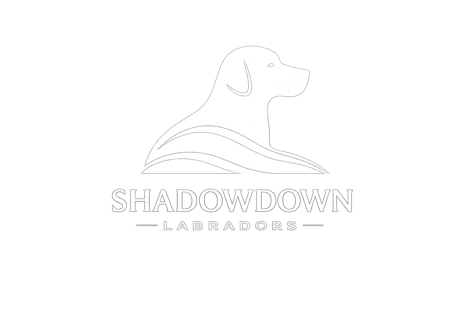 SHADOWDOWN LABRADORS