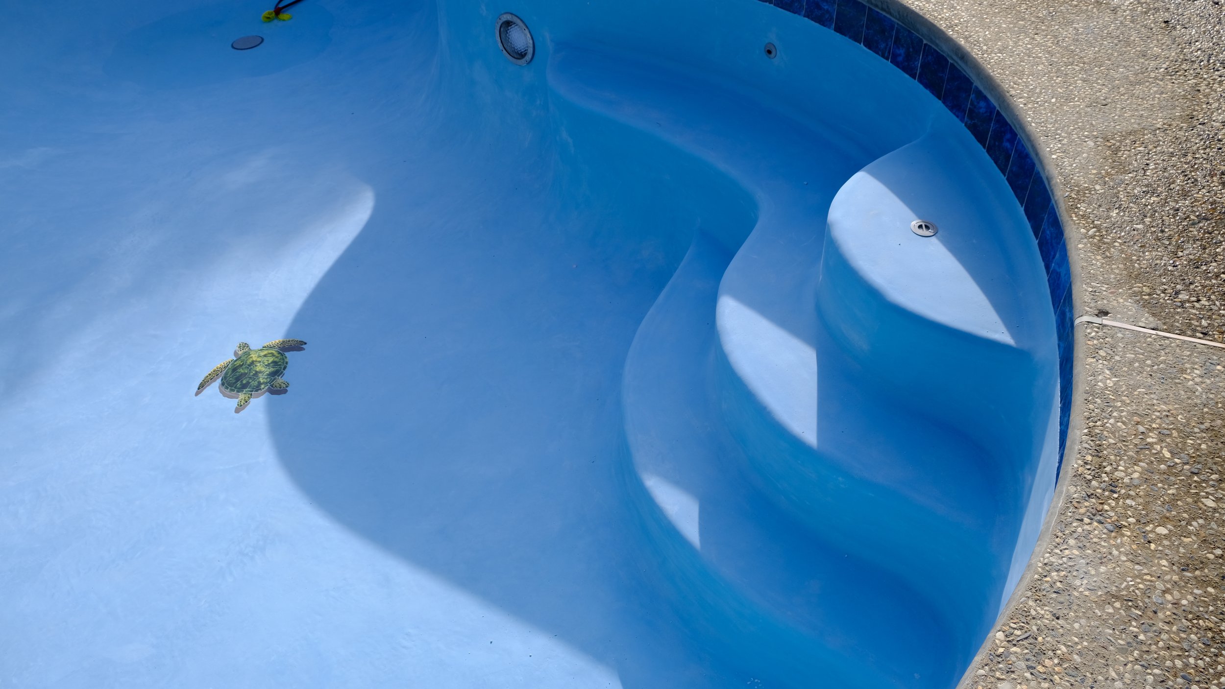 Pool remodel with blue plaster finish, steps, and mosaic turtle tile detail by NorCal Pools Inc in Northern California