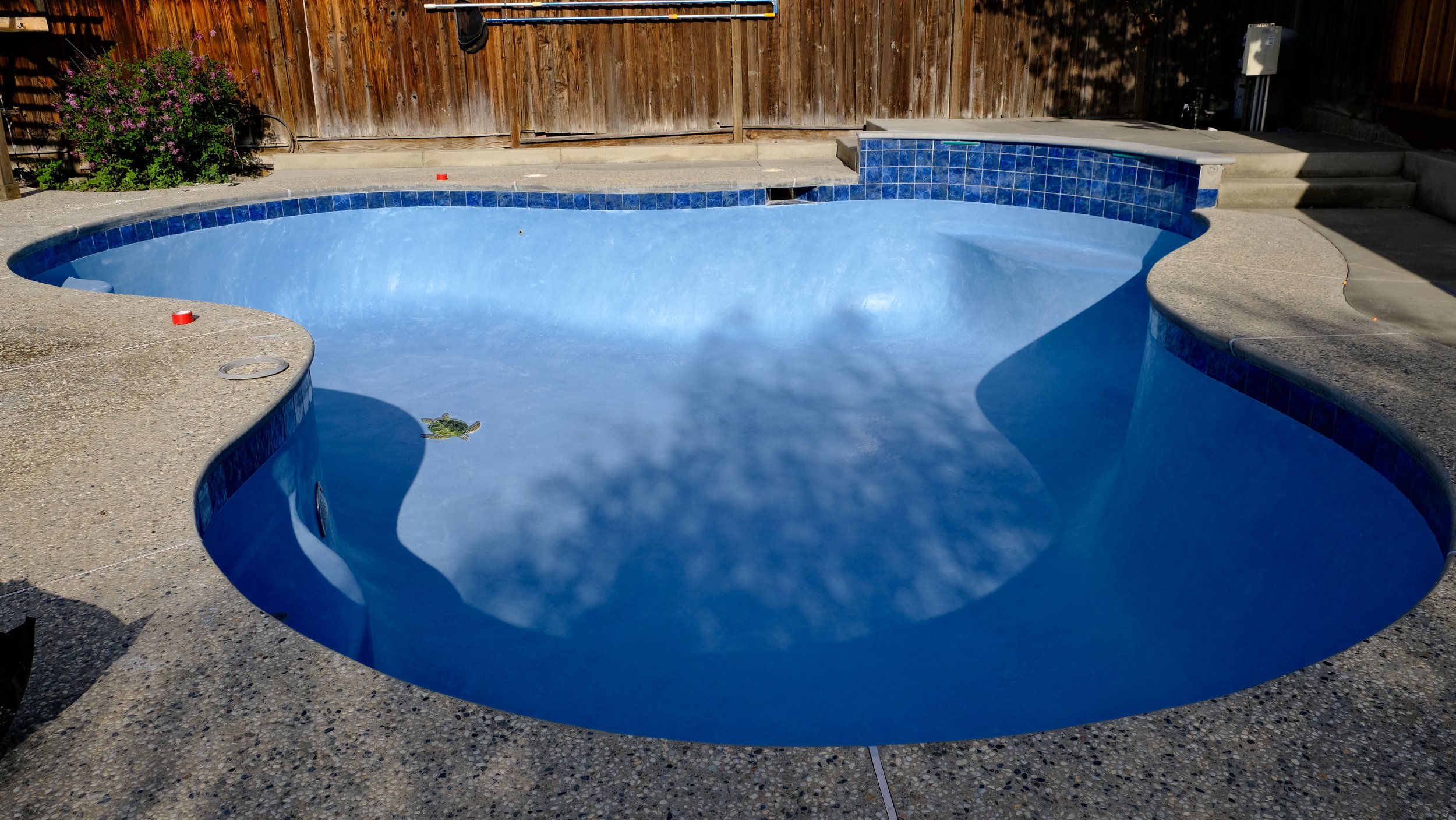 Pool remodel with blue plaster finish, steps, and mosaic turtle tile detail by NorCal Pools Inc in Northern California