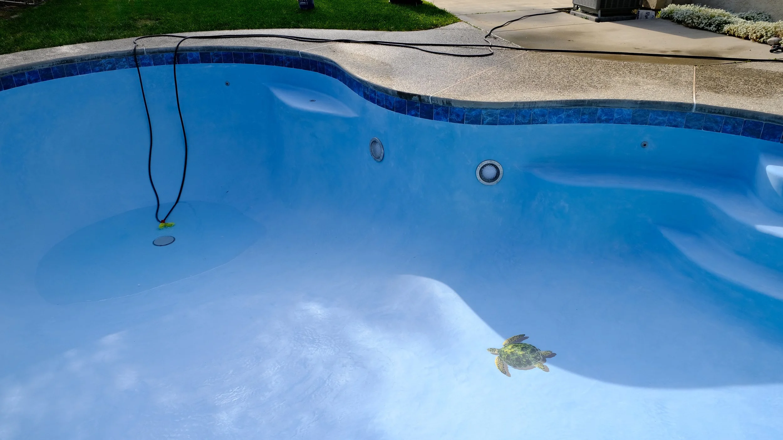 Pool remodel with blue plaster finish, steps, and mosaic turtle tile detail by NorCal Pools Inc in Northern California