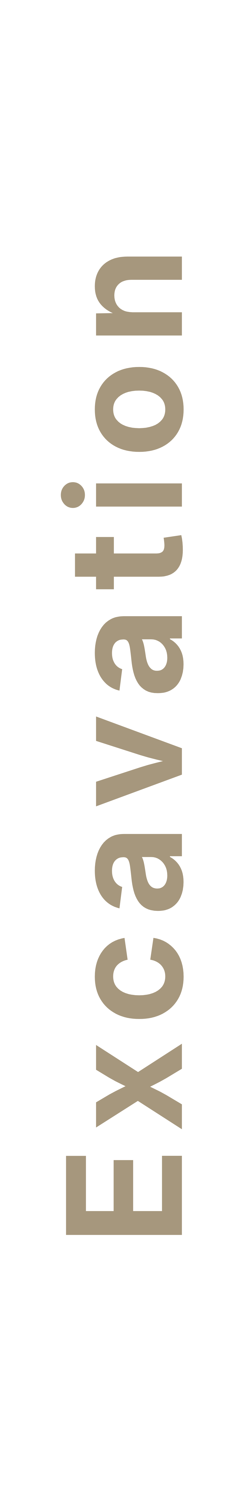 Vertical text reading 'excellance.'