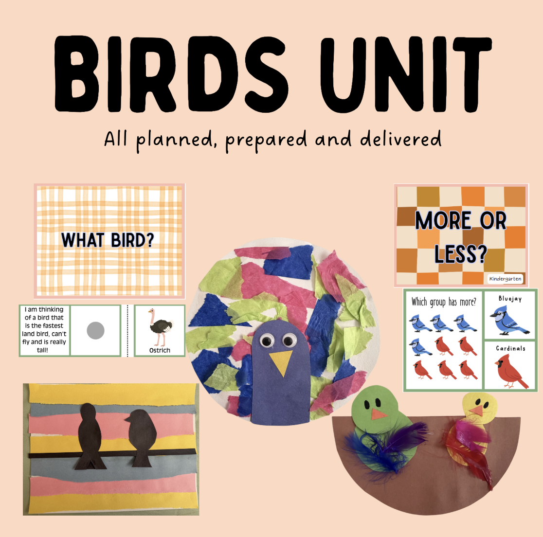 Birds Mini Kit