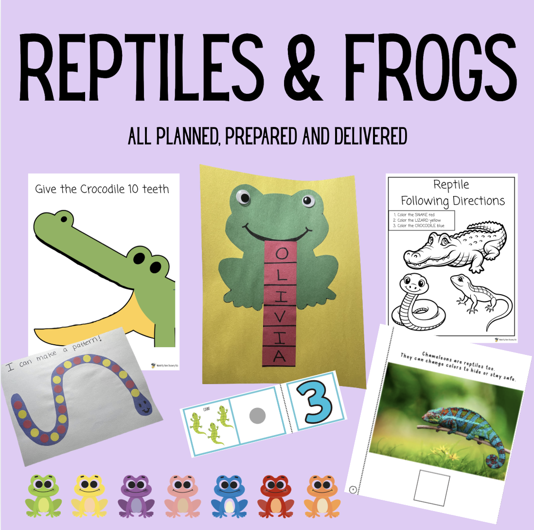 Reptile & Frogs Mini Kit