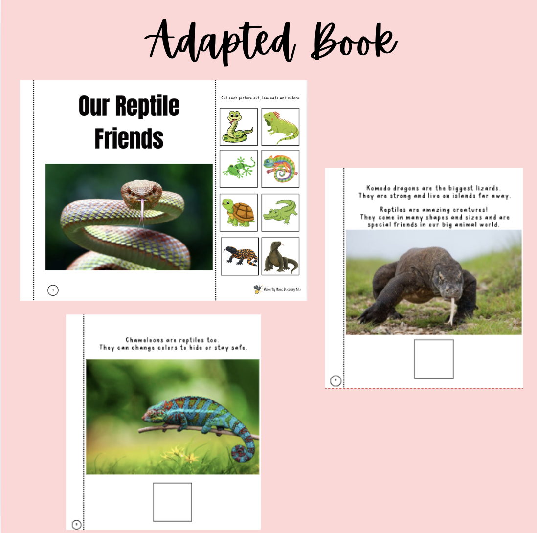 Screenshot 2026-04-03 at 8.48.20 AM.png