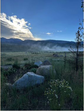 landscape3.png