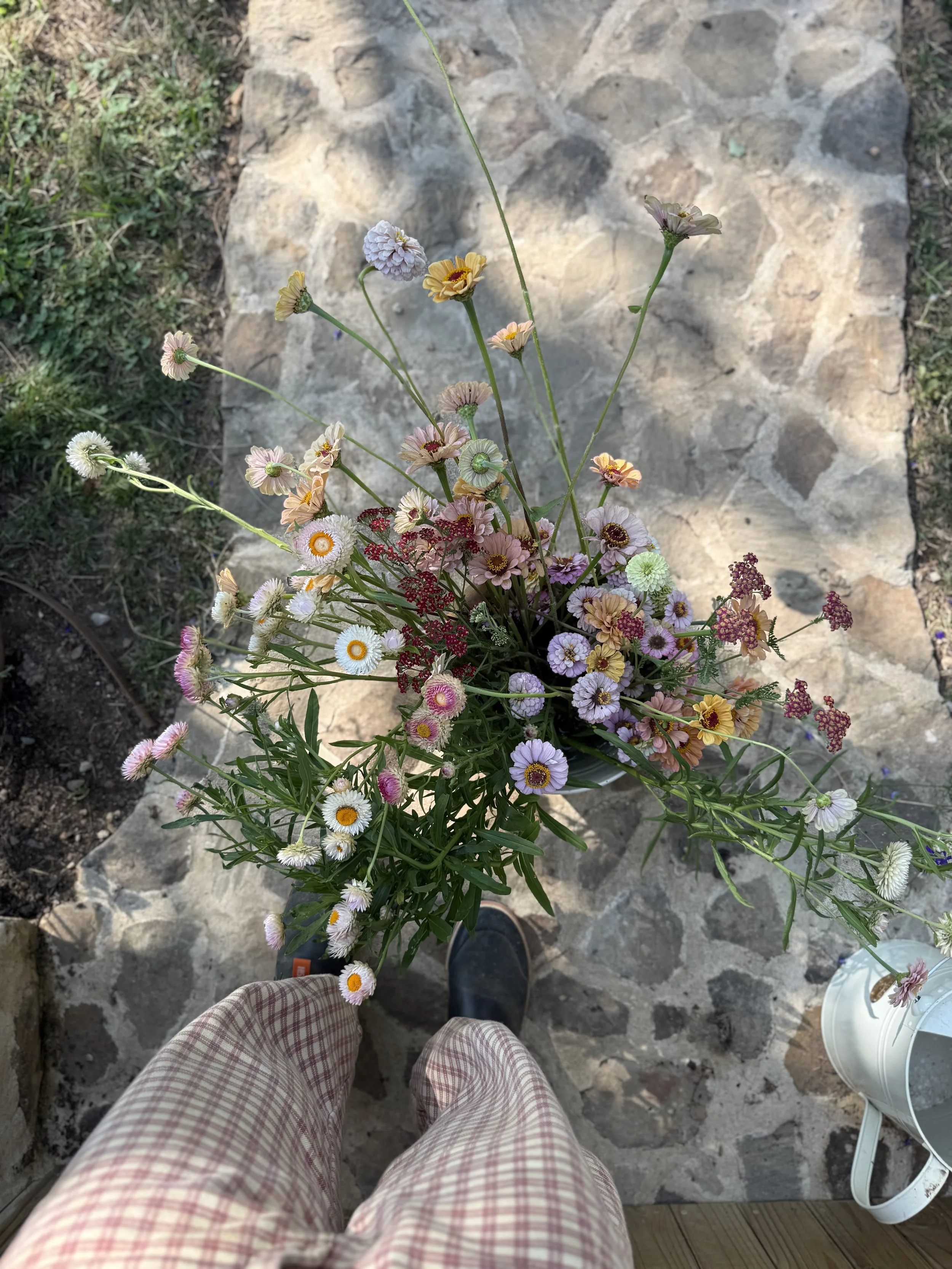 IMG_3352.jpeg
