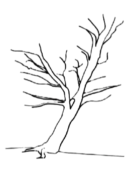 My Younger Life Studios