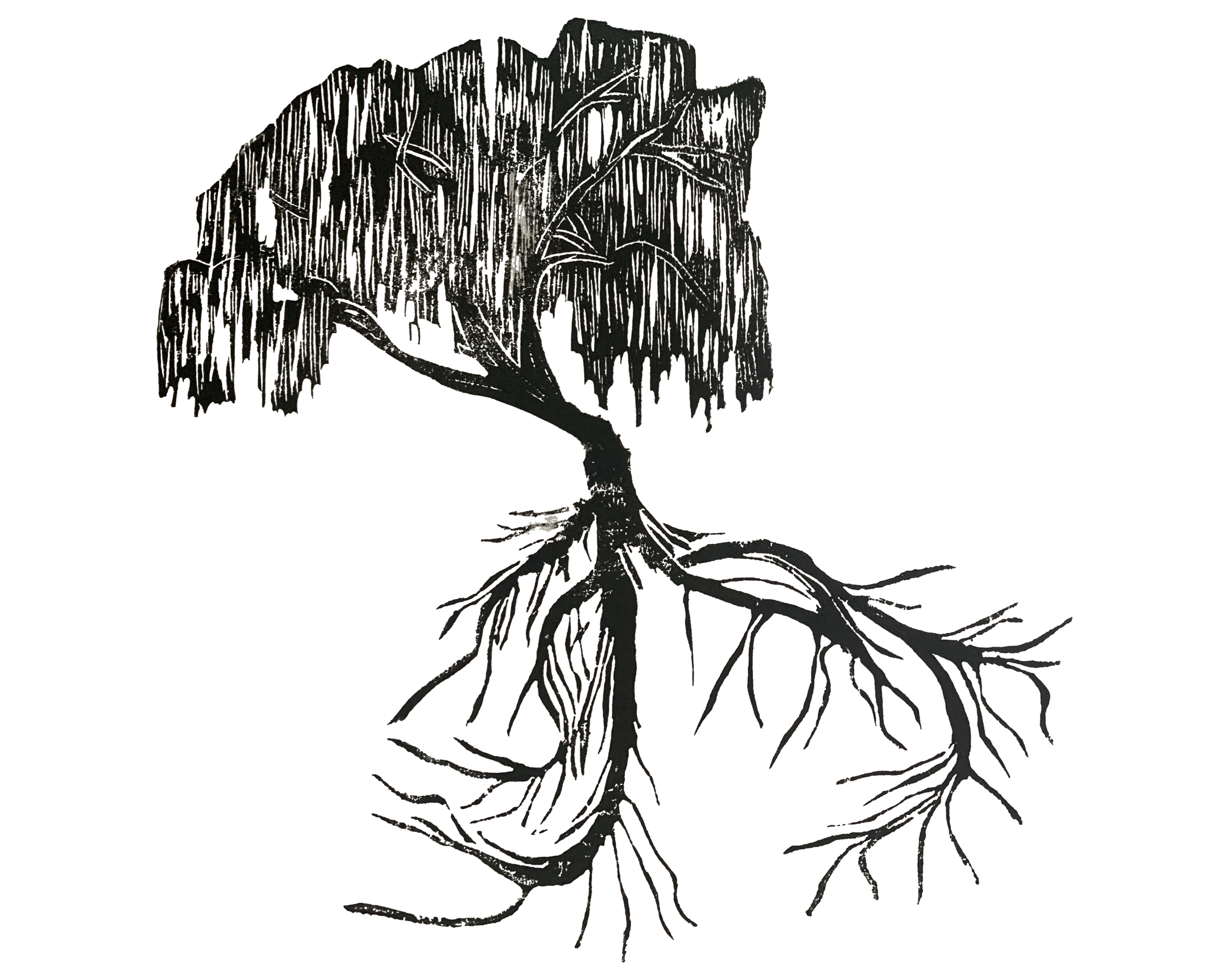 Artwork (as used as creative expression is a deep component of wellness) depicting a willow (a medicinal plant used for pain relief) with deep roots, as to link to the root cause values of kindred roots. Seeking root cause of health.