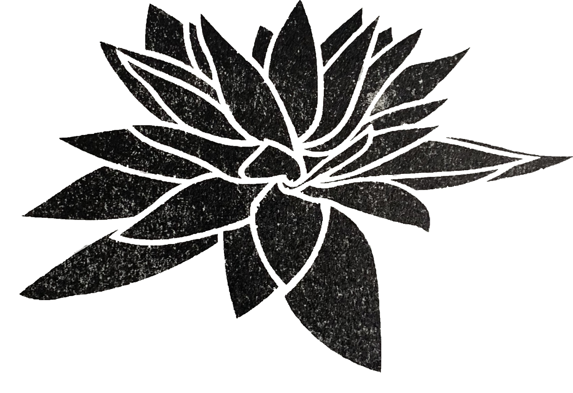 Artwork of the lotus flower - a plant often associated with inner strength and tranquility, to represent the inner strength gained in the self-empowerment of naturopathic healthcare, and the journey to gain balance in your whole body wellbeing.