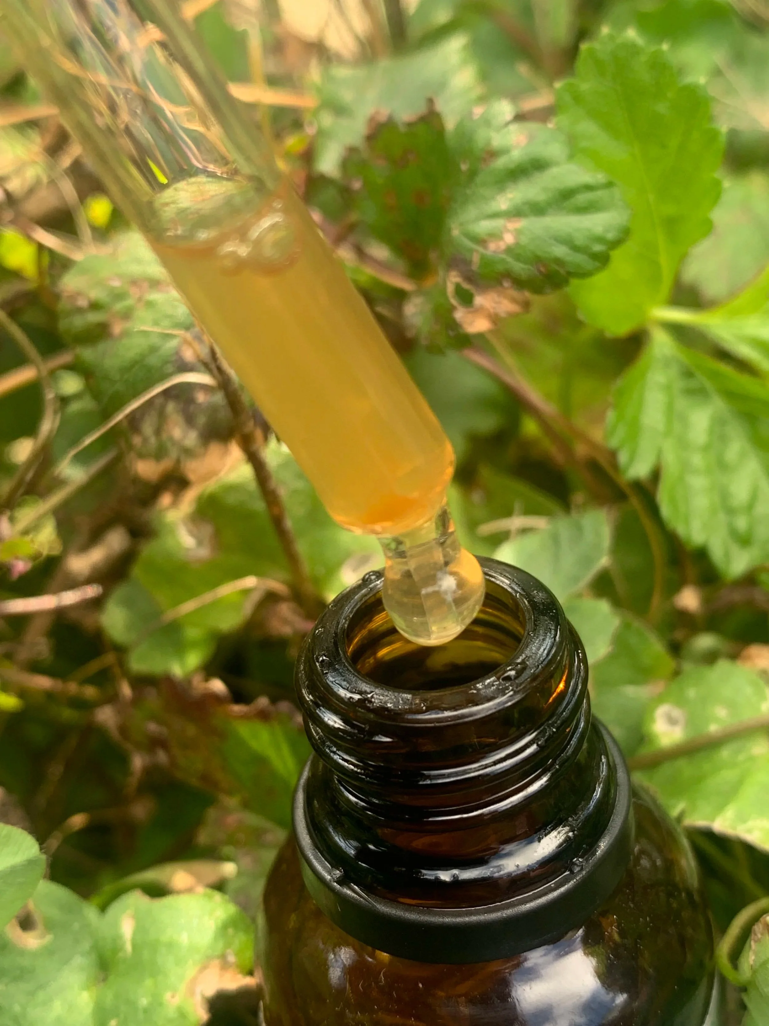 Herbal medicine, in support of chronic and acute conditions. Naturopaths may use herbal medicine, nutrition, practitioner-only supplements or mind-body or lifestyle adjustments to support your health and wellness