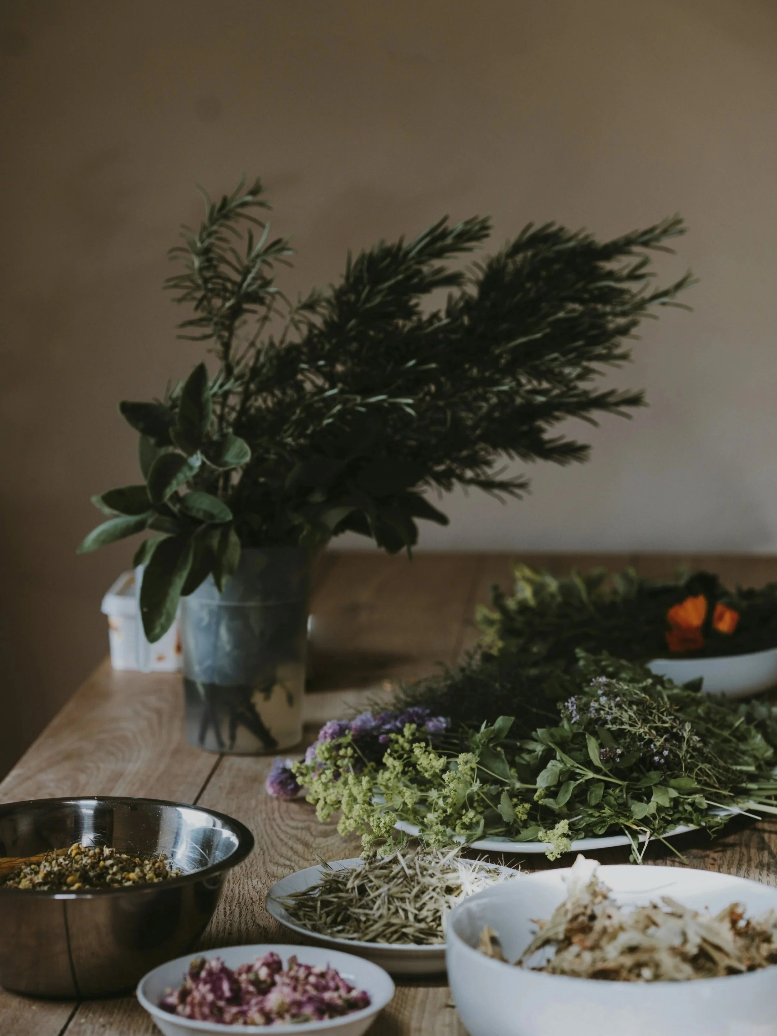 Naturopathic care can use herbal medicine, nutrition, practitioner-only supplements, and lifestyle recommendations to support your journey to optimal and improvement health and wellbeing. Naturopaths may aid chronic and acute conditions