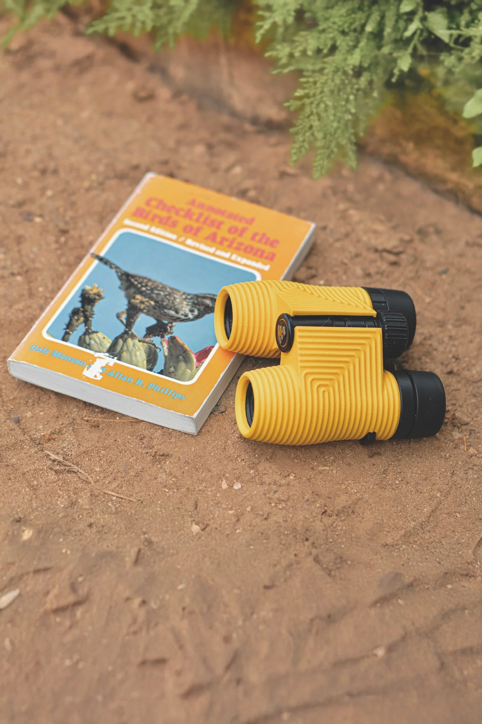 annotated checklist of the birds of arizona