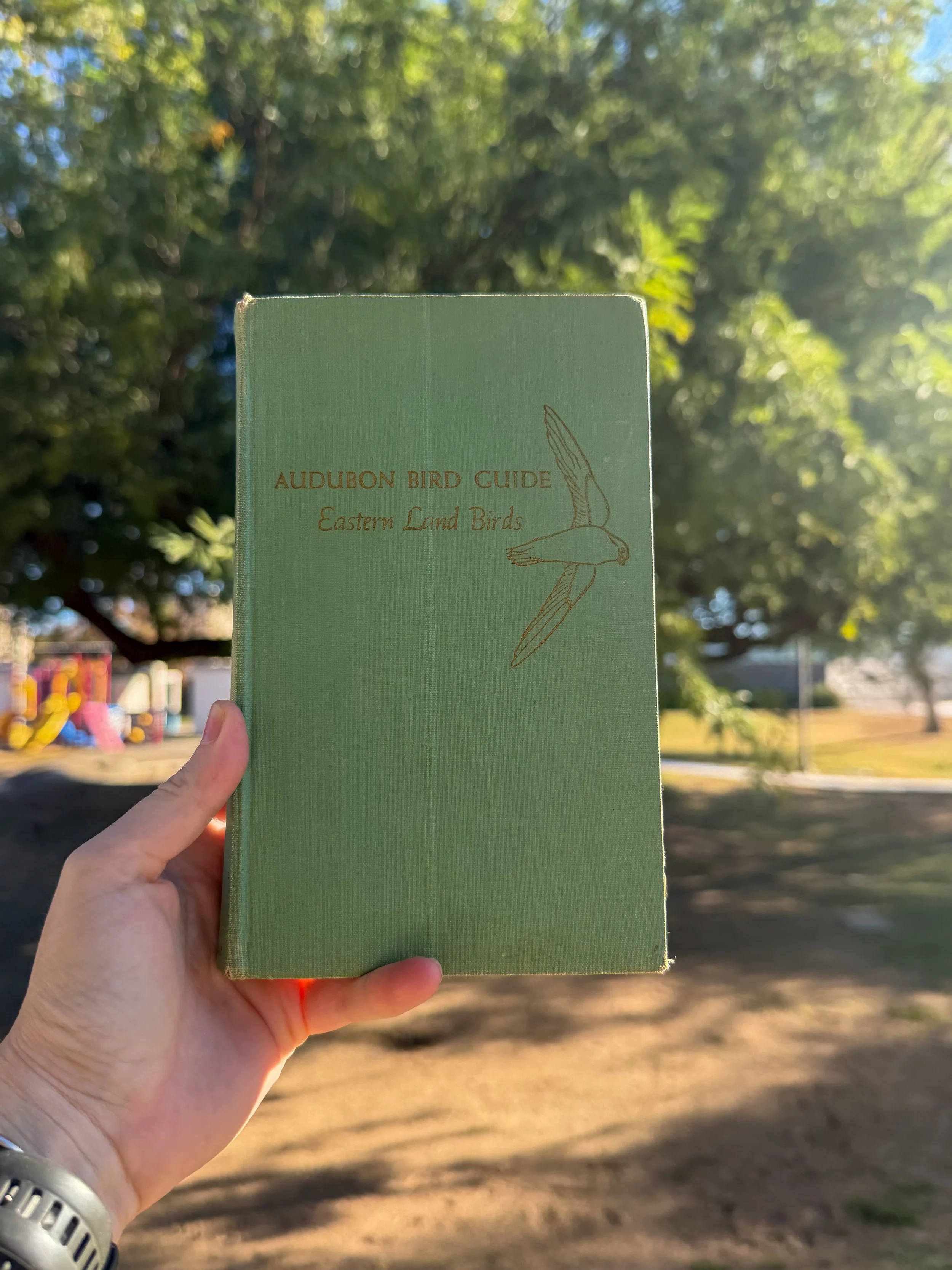 audubon bird guide: eastern land birds