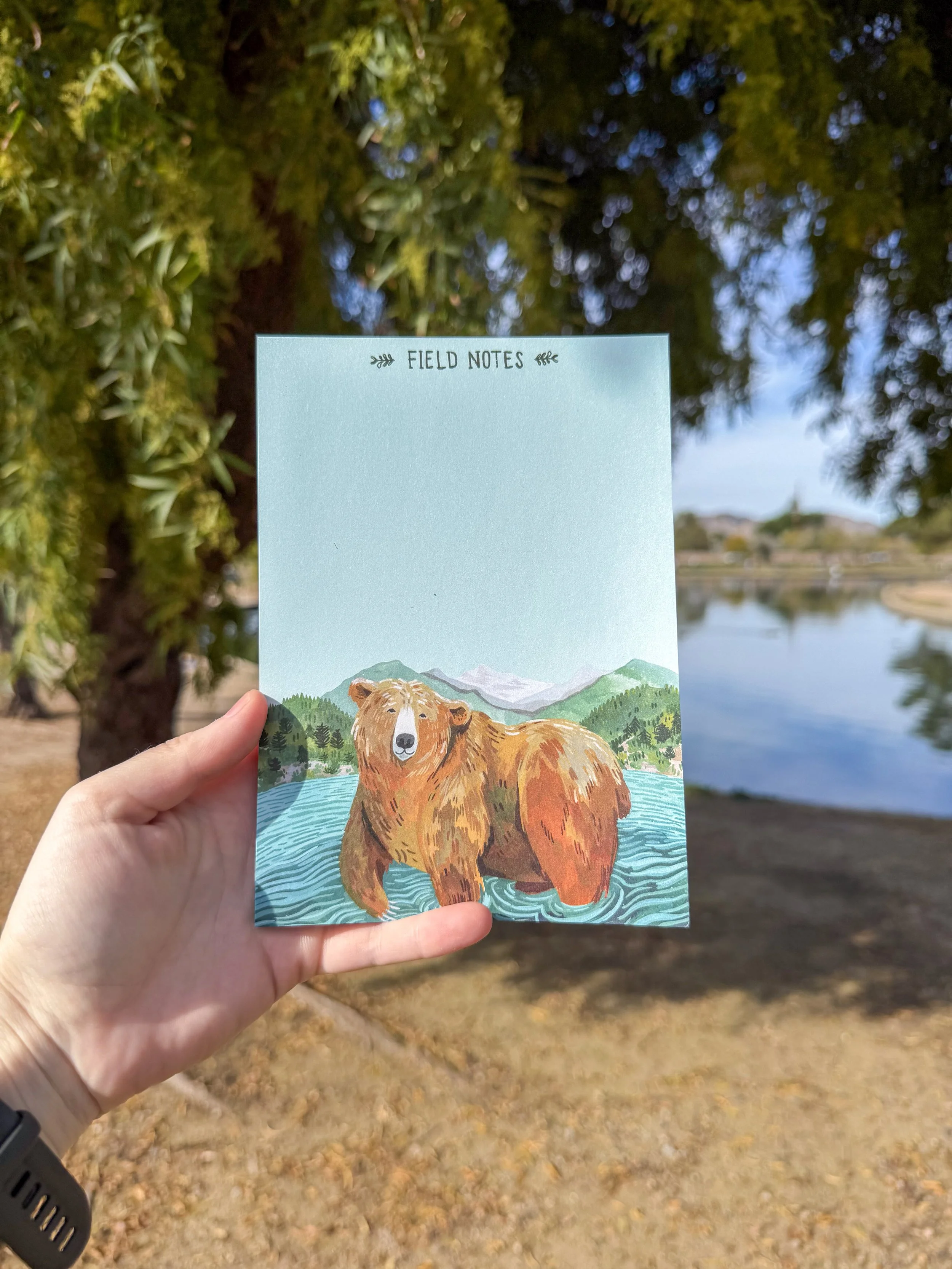 bear field notes notepad