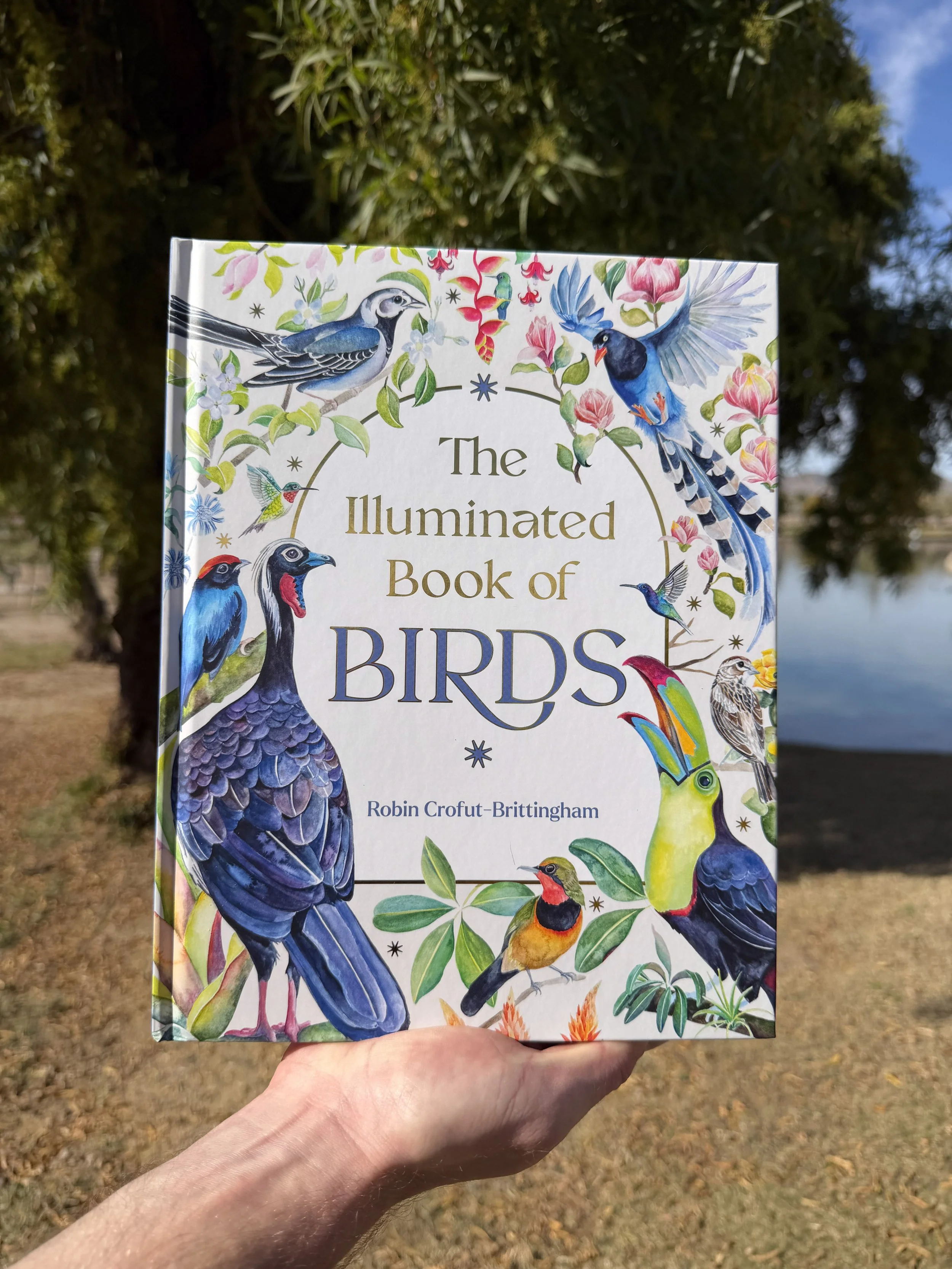 the illuminated book of birds