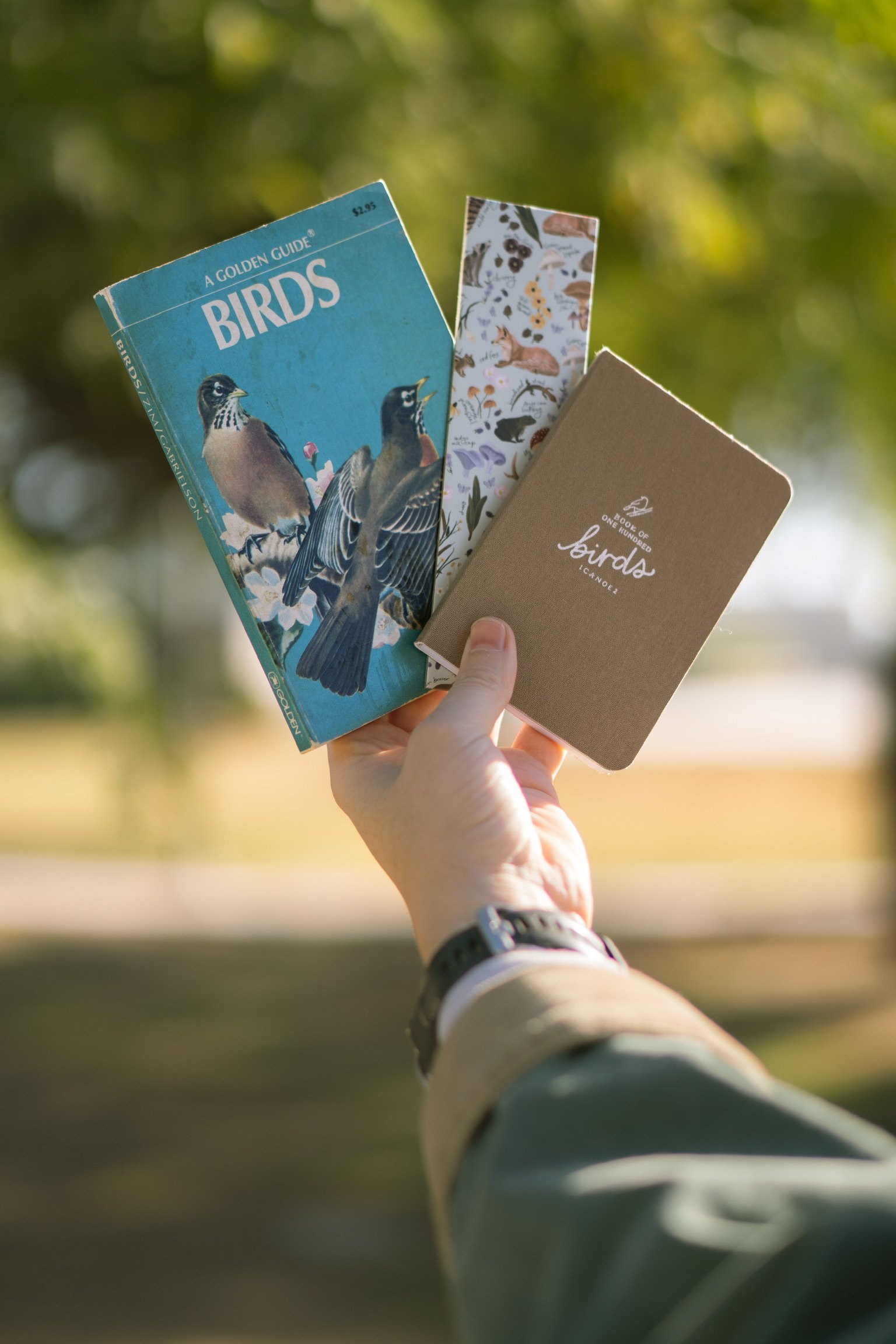 Hand holding a collection of bird identification books and cards outdoors.
