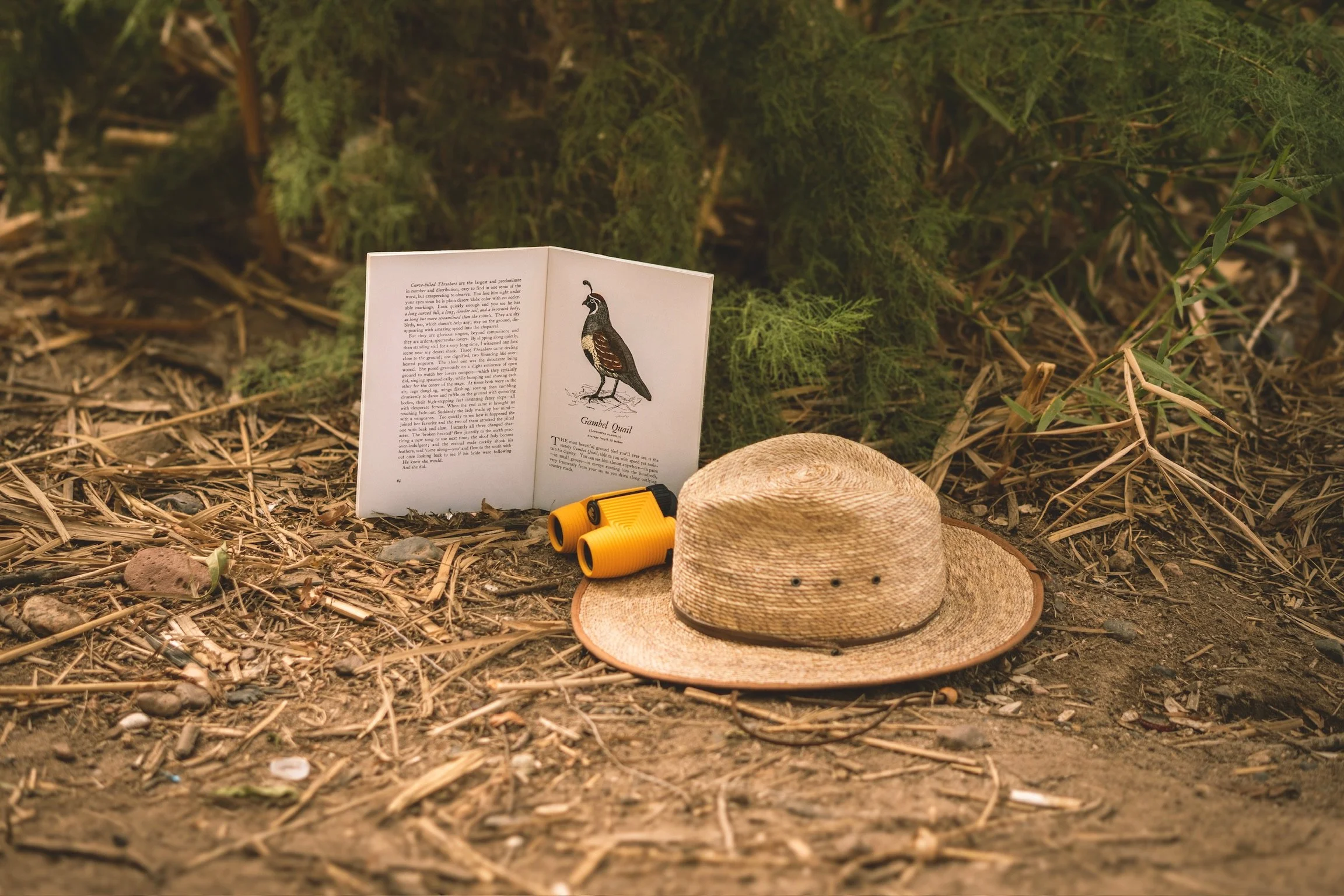 A straw hat, binoculars, and a book with a bird illustration and text about a Gambia quail are placed on the ground in a natural outdoor setting with dry leaves, dirt, and green bushes in the background.