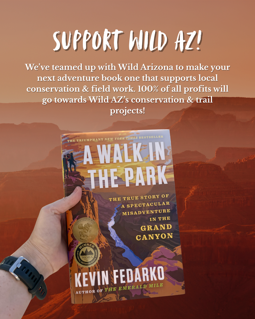 walk in the park: the true story of a spectacular adventure in the grand canyon