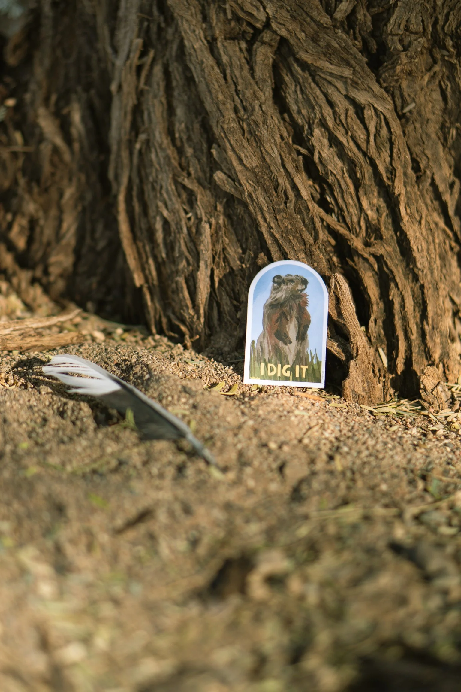 i dig it marmot sticker