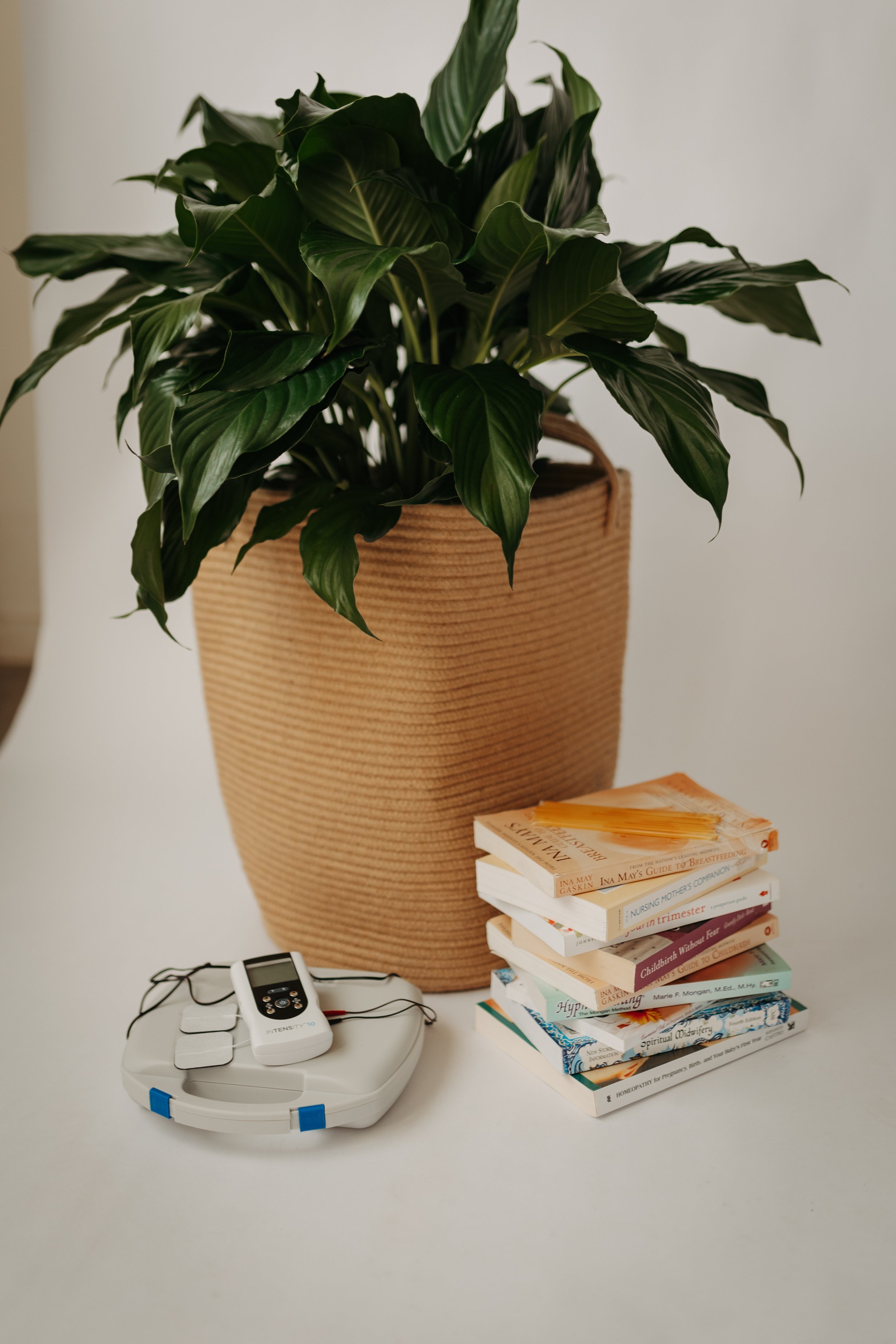 Brook + Brave Birth - Memphis, Tennessee Birth and Postpartum Doula Childbirth Education Books, TENS unit, and honey sticks