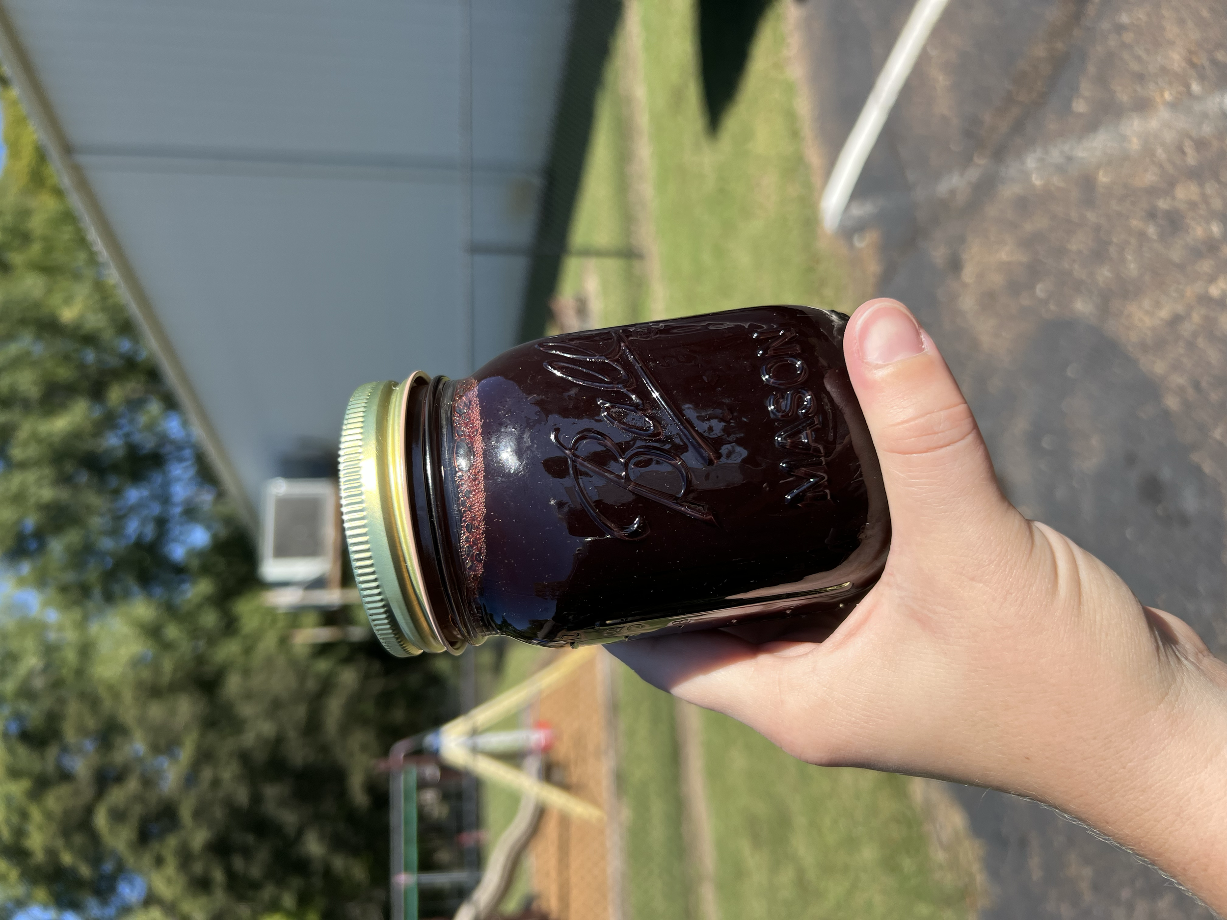 Organic Elderberry Syrup
8oz $15 | 16oz $28 (pictured)
Made with elderberries, rose hips, ginger, whole clove, cinnamon, arrowroot power, water and local raw honey (or maple syrup by request).