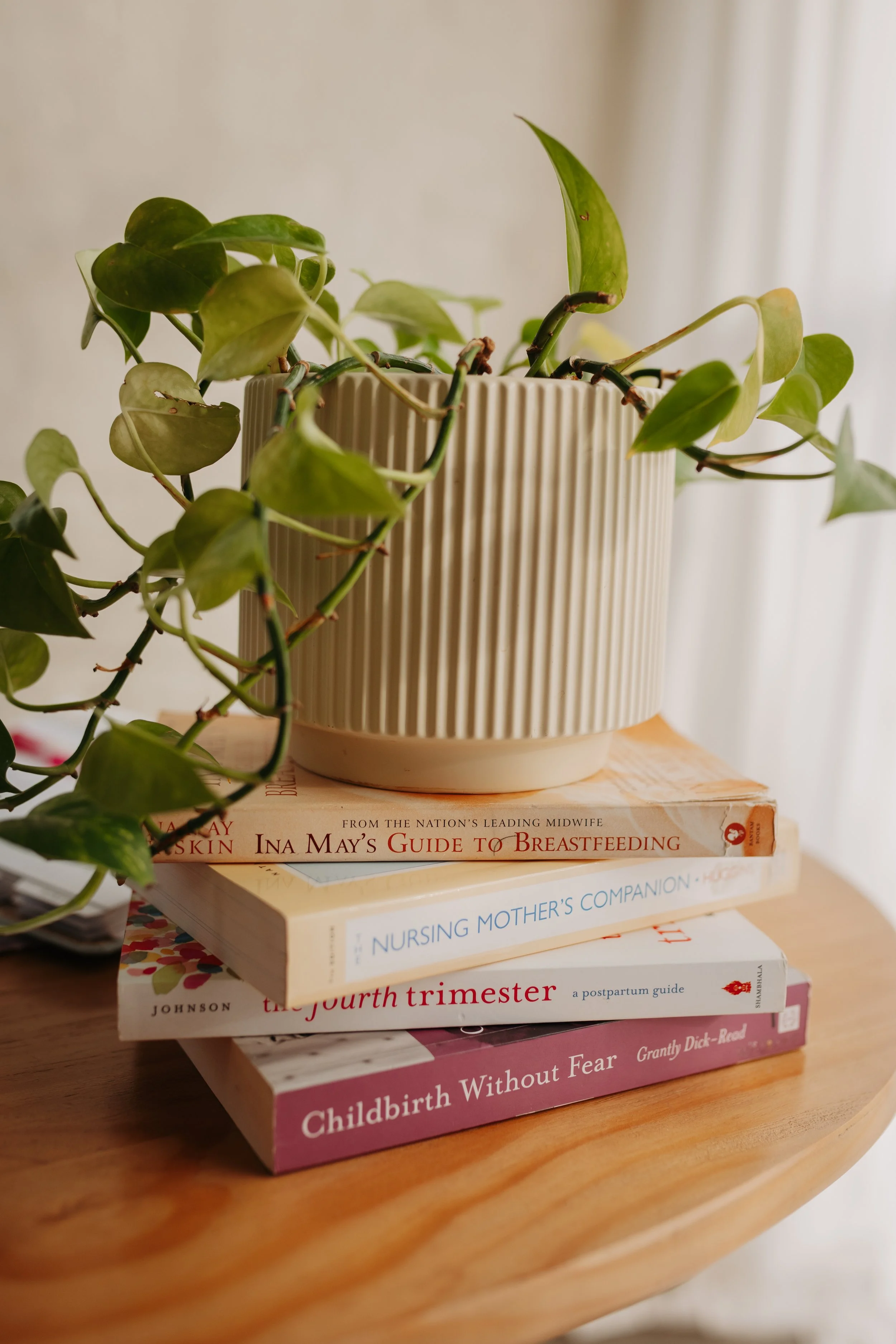 Brook + Brave Birth - Memphis, Tennessee Birth and Postpartum Doula Education Resources