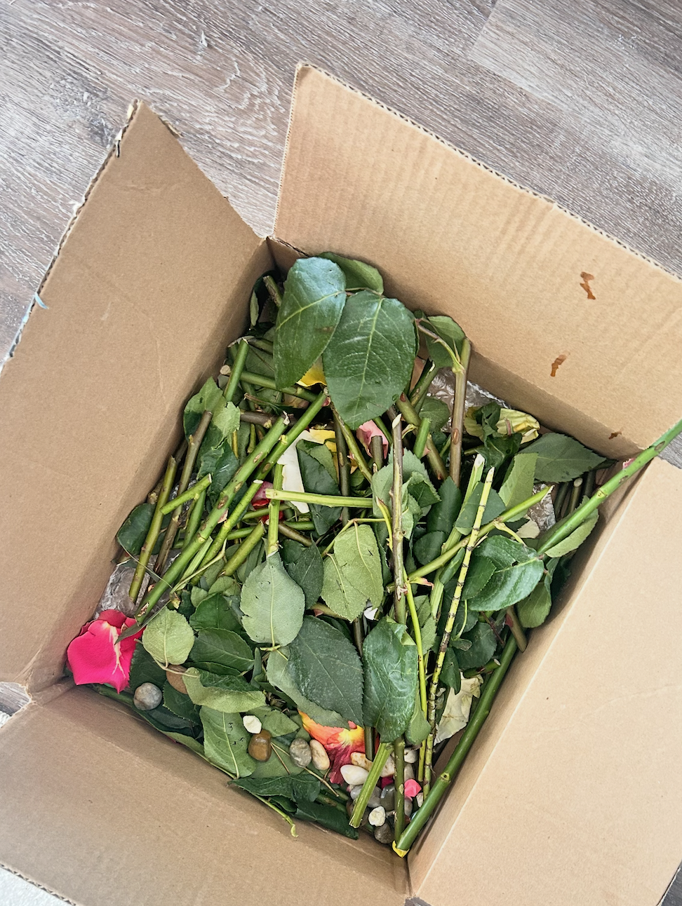 Screenshot 2026-04-14 at 9.16.33 AM.png