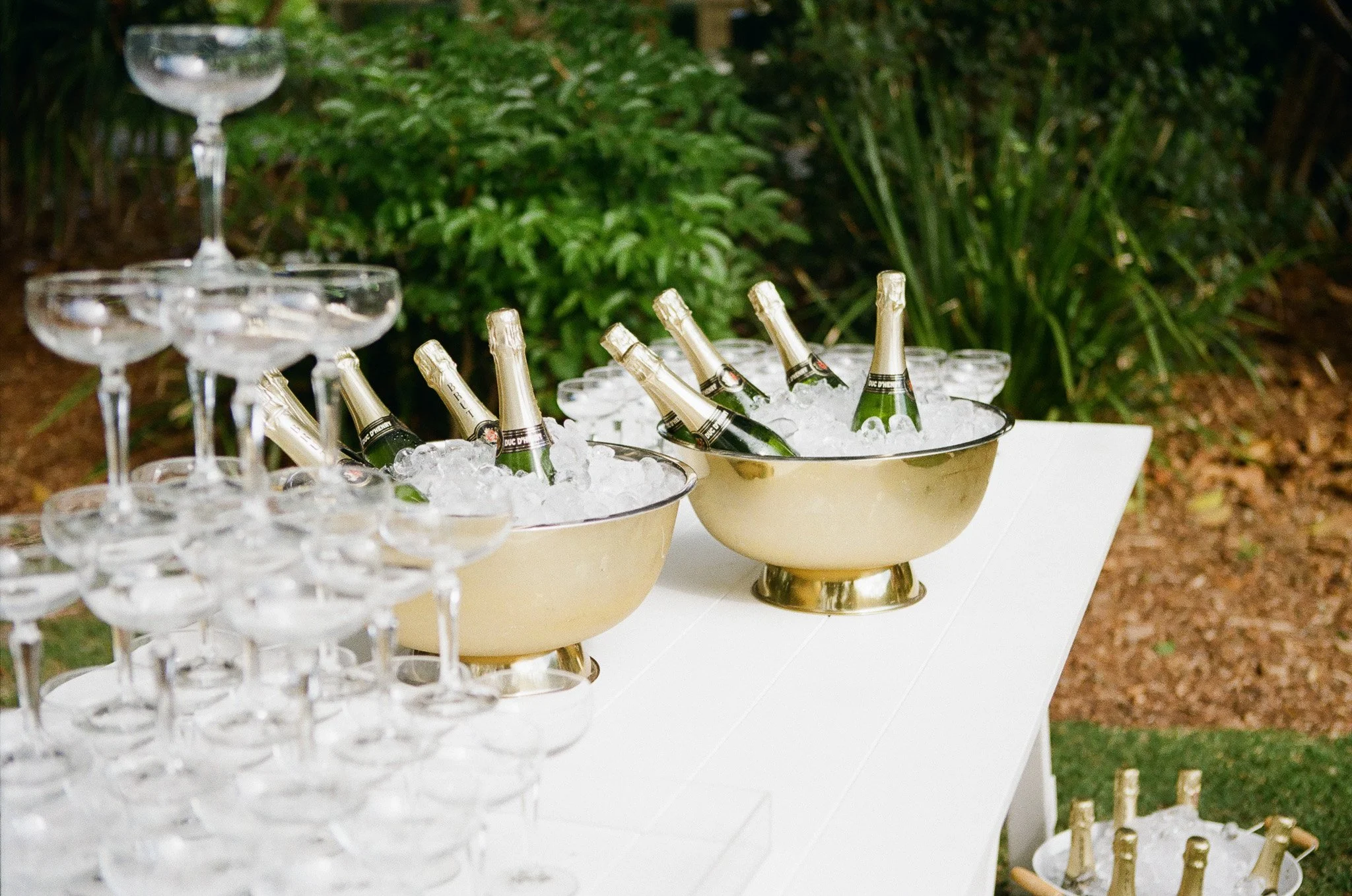Champagne bottles in ice buckets and empty champagne glasses on a white table outdoors with green foliage in the background.