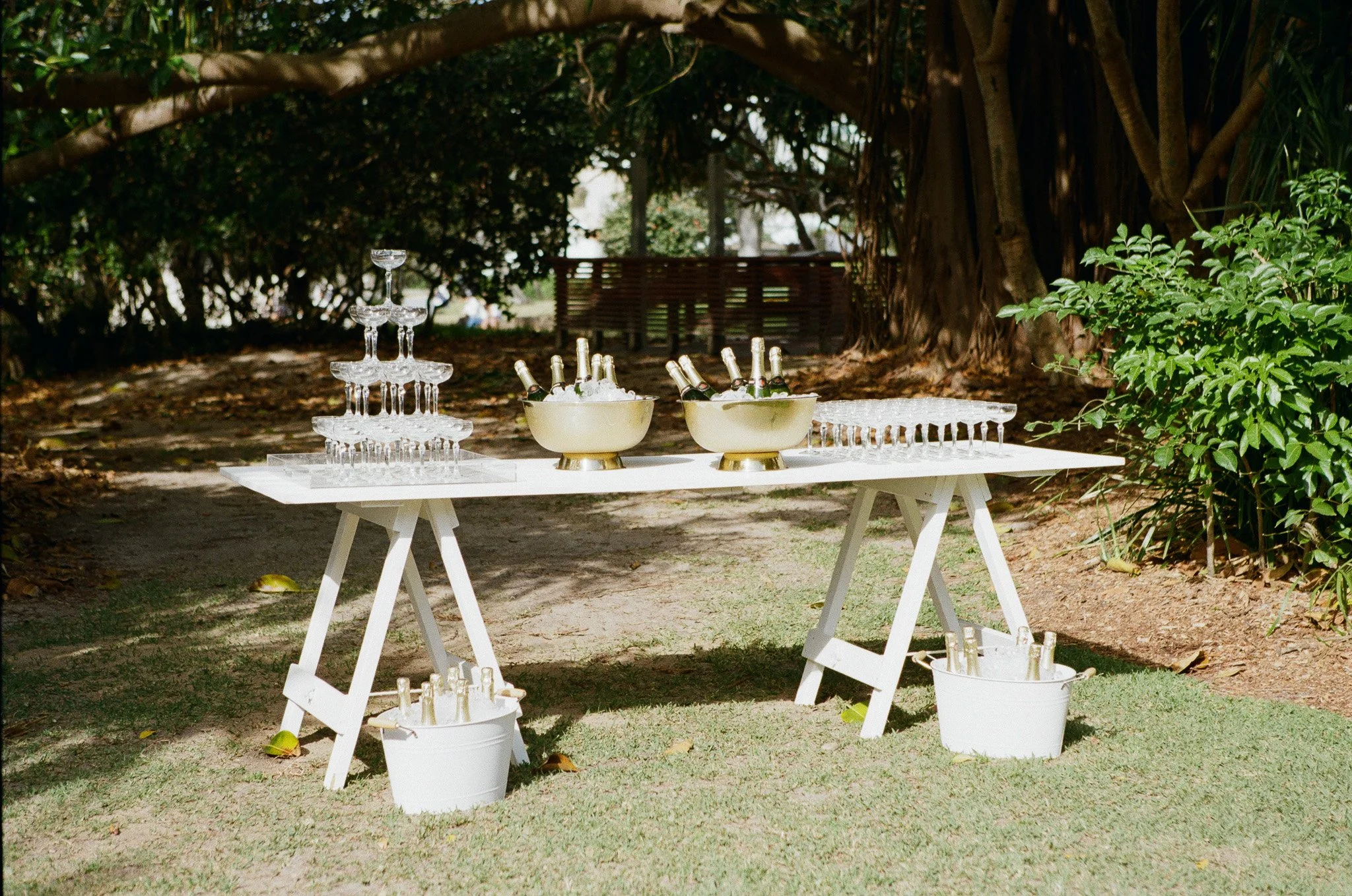 A white outdoor table with champagne bottles and glasses, arranged for a celebration, set on a grassy area with trees and greenery in the background.