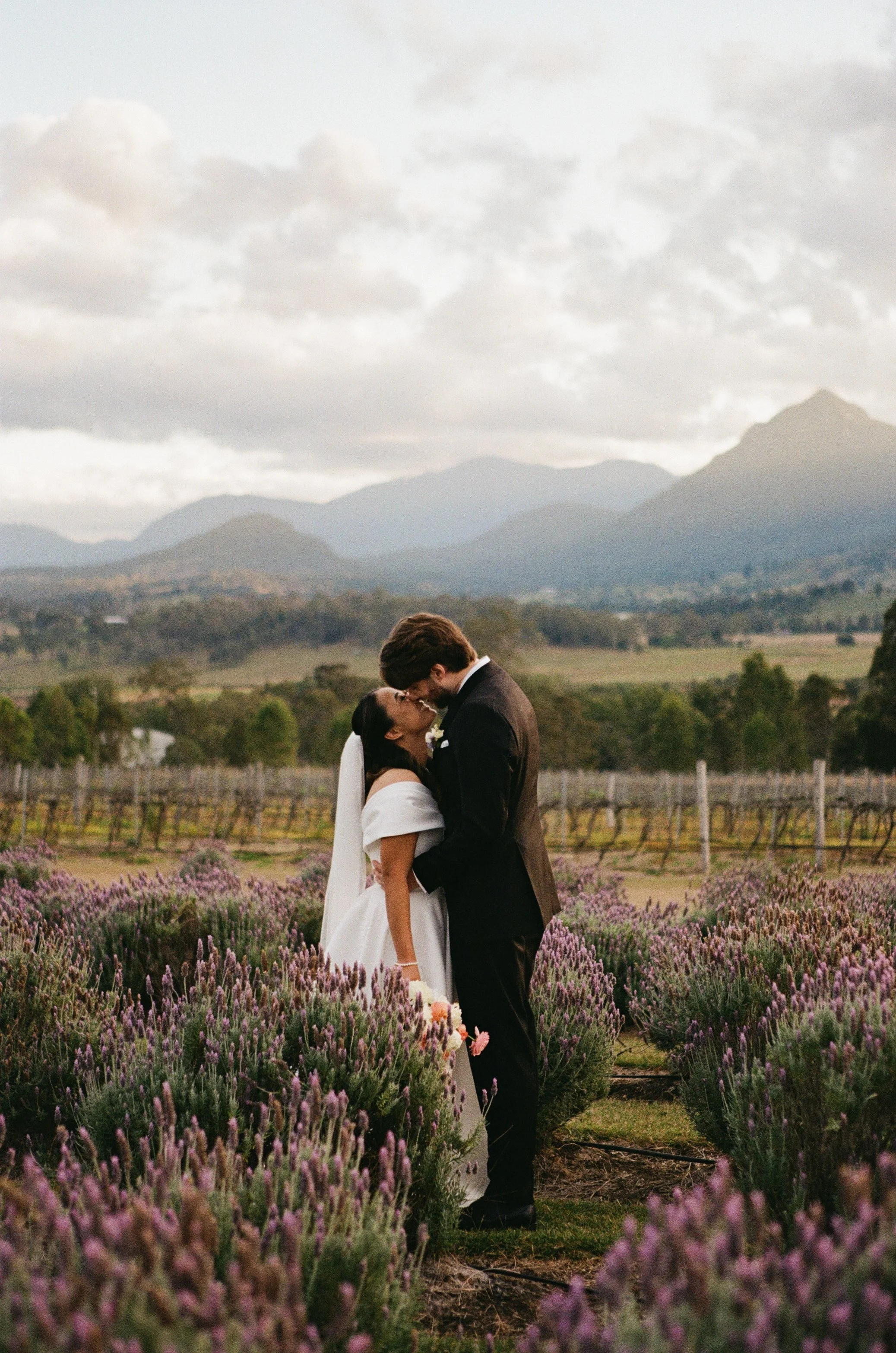 A newlywed couple sharing a kiss in a lavender field with mountains and cloudy sky in the background.