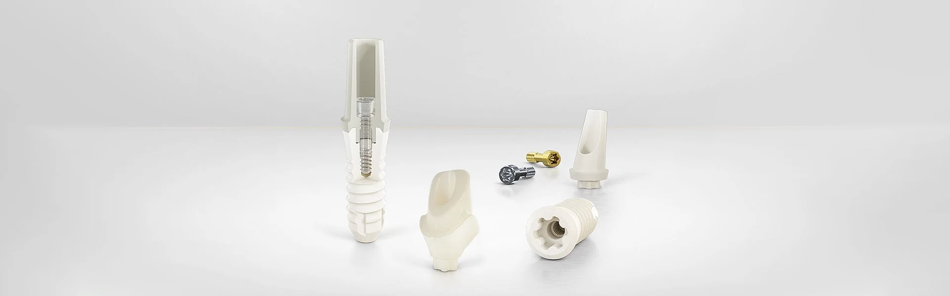 Keramikimplantat aus Zirkonoxid mit Abutment und Verbindungskomponenten in natürlicher weißer Farbe