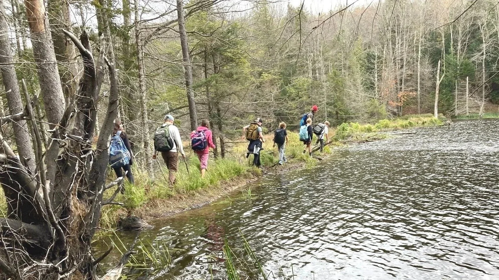 Movement in Education