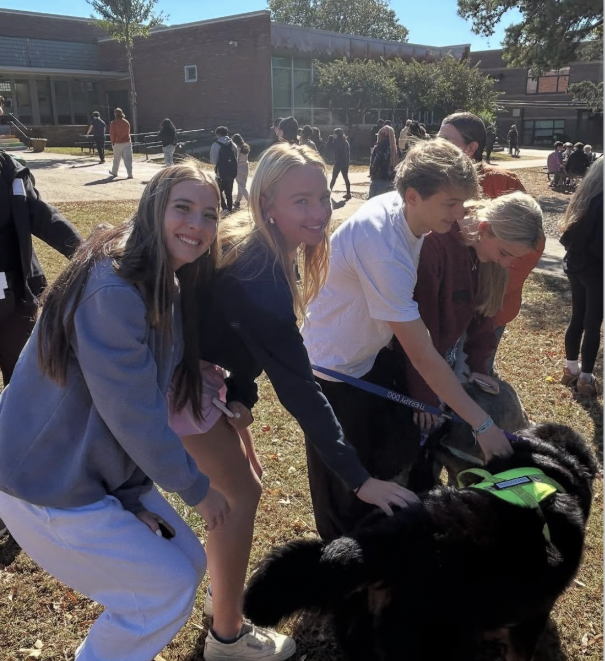 Four teenagers outdoors on a sunny day at a school, with other students in the background. They are smiling and petting a service dog with a green vest.